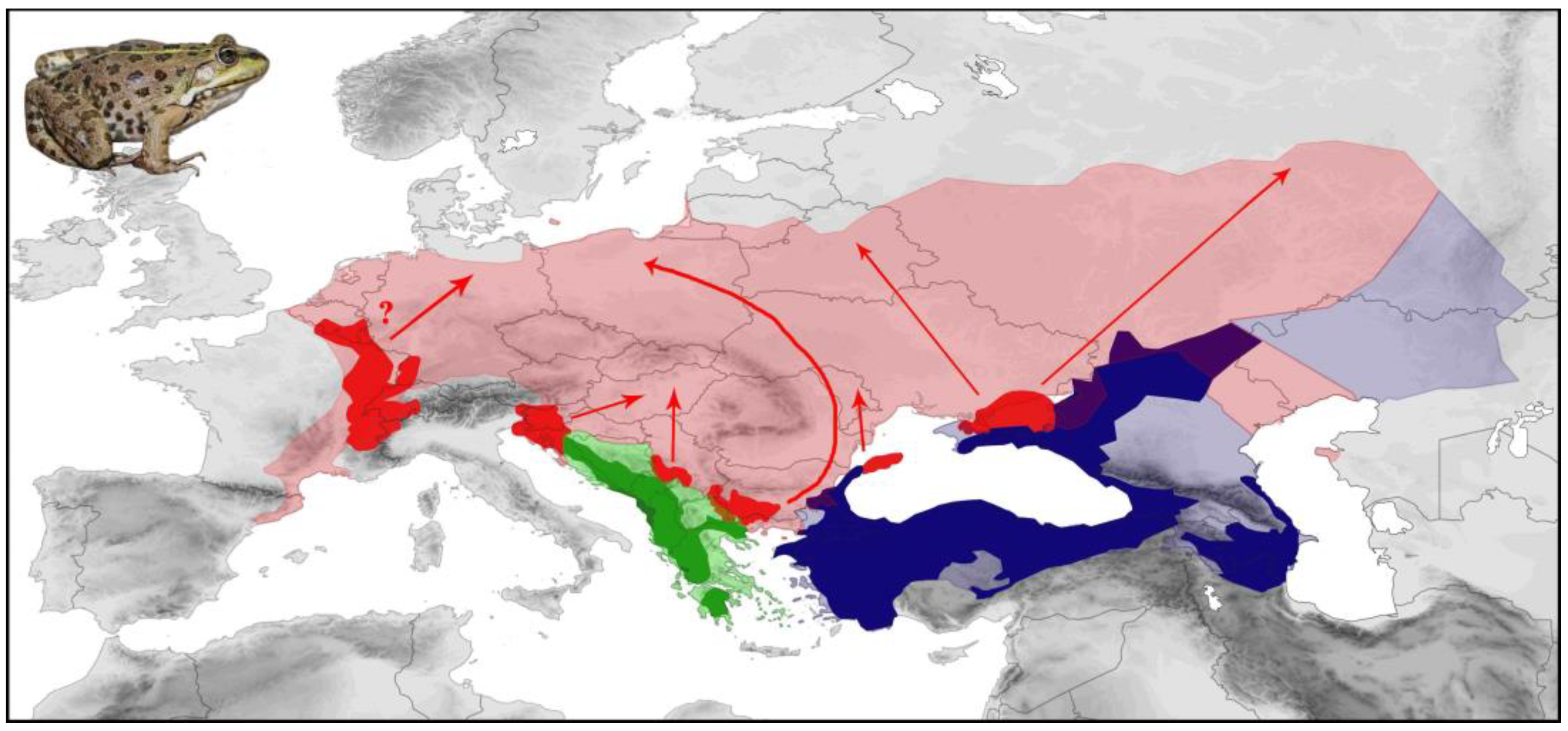 Diversity 16 00094 g006 Diversity 16 00094 g006