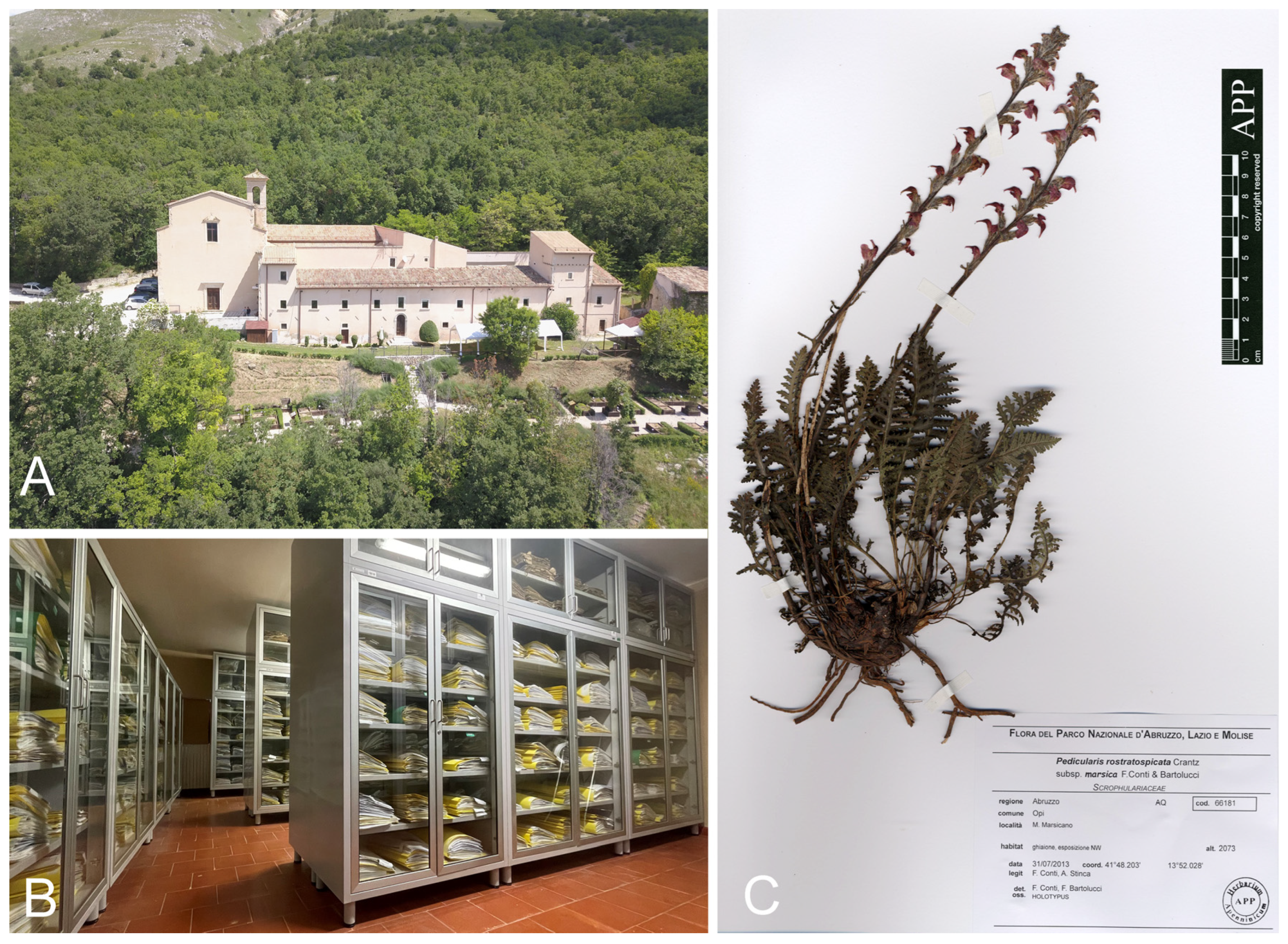 Diversity 16 00099 g001