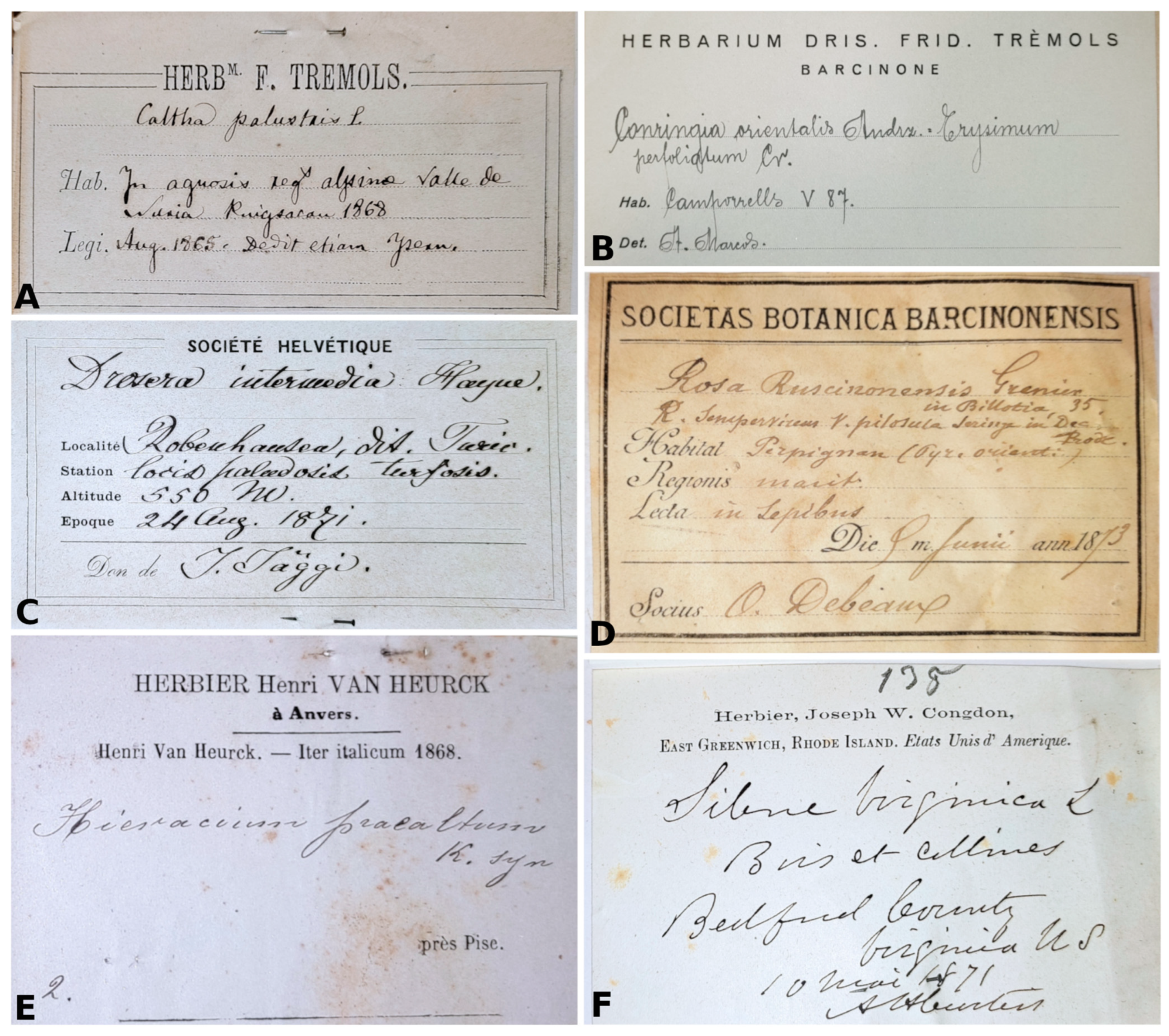 Diversity 16 00105 g004