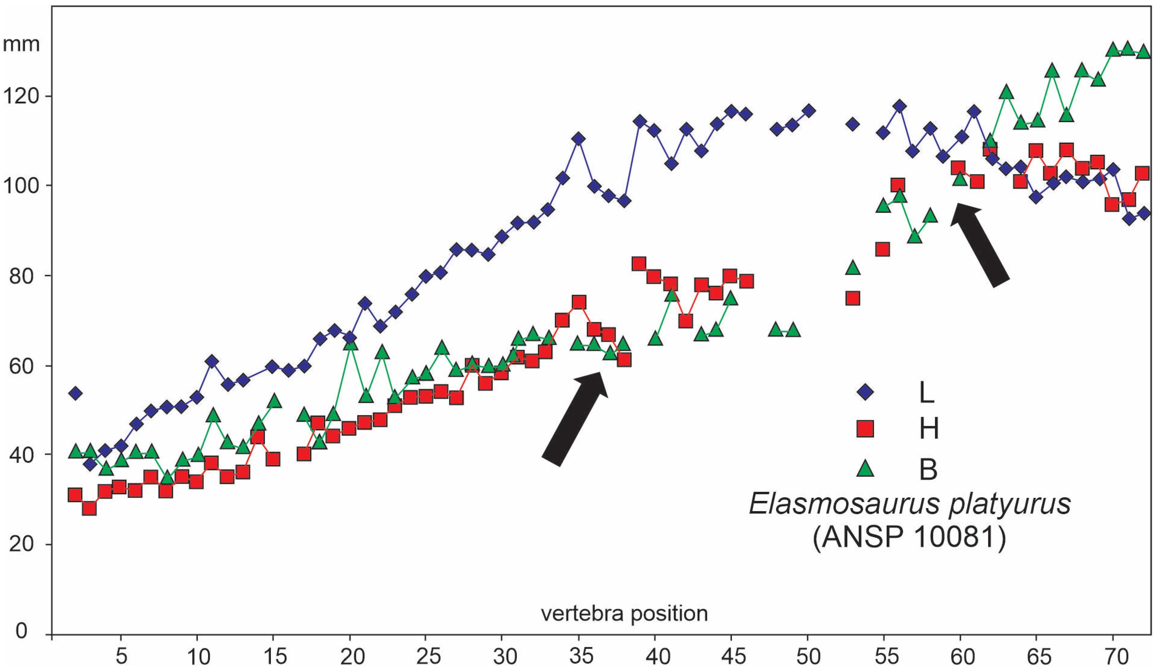 Diversity 16 00106 g002