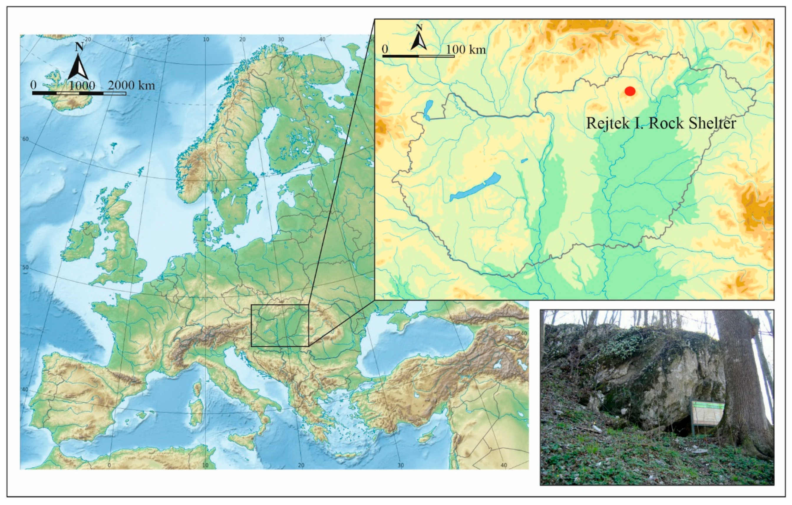 Diversity 16 00109 g001