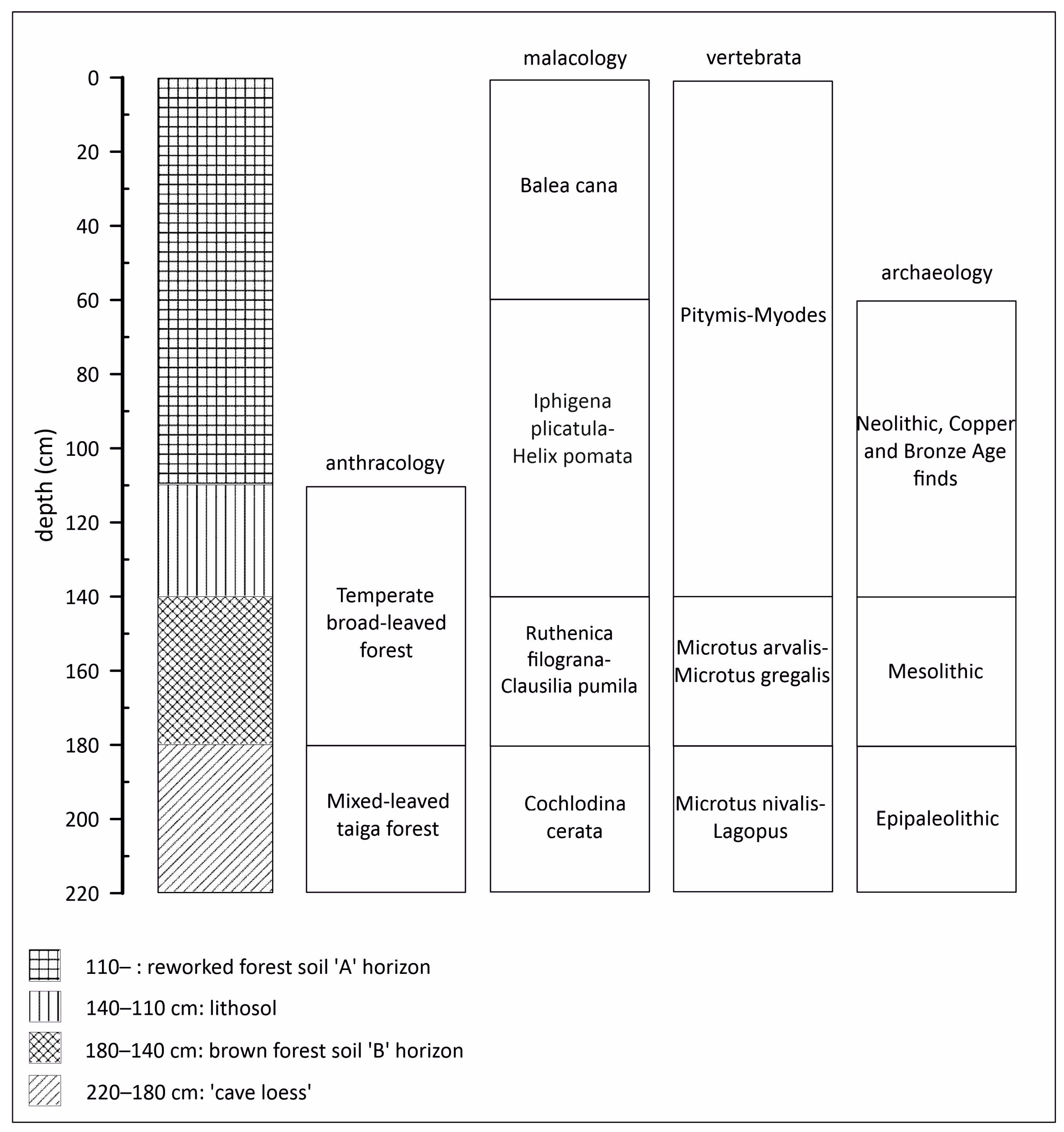 Diversity 16 00109 g008