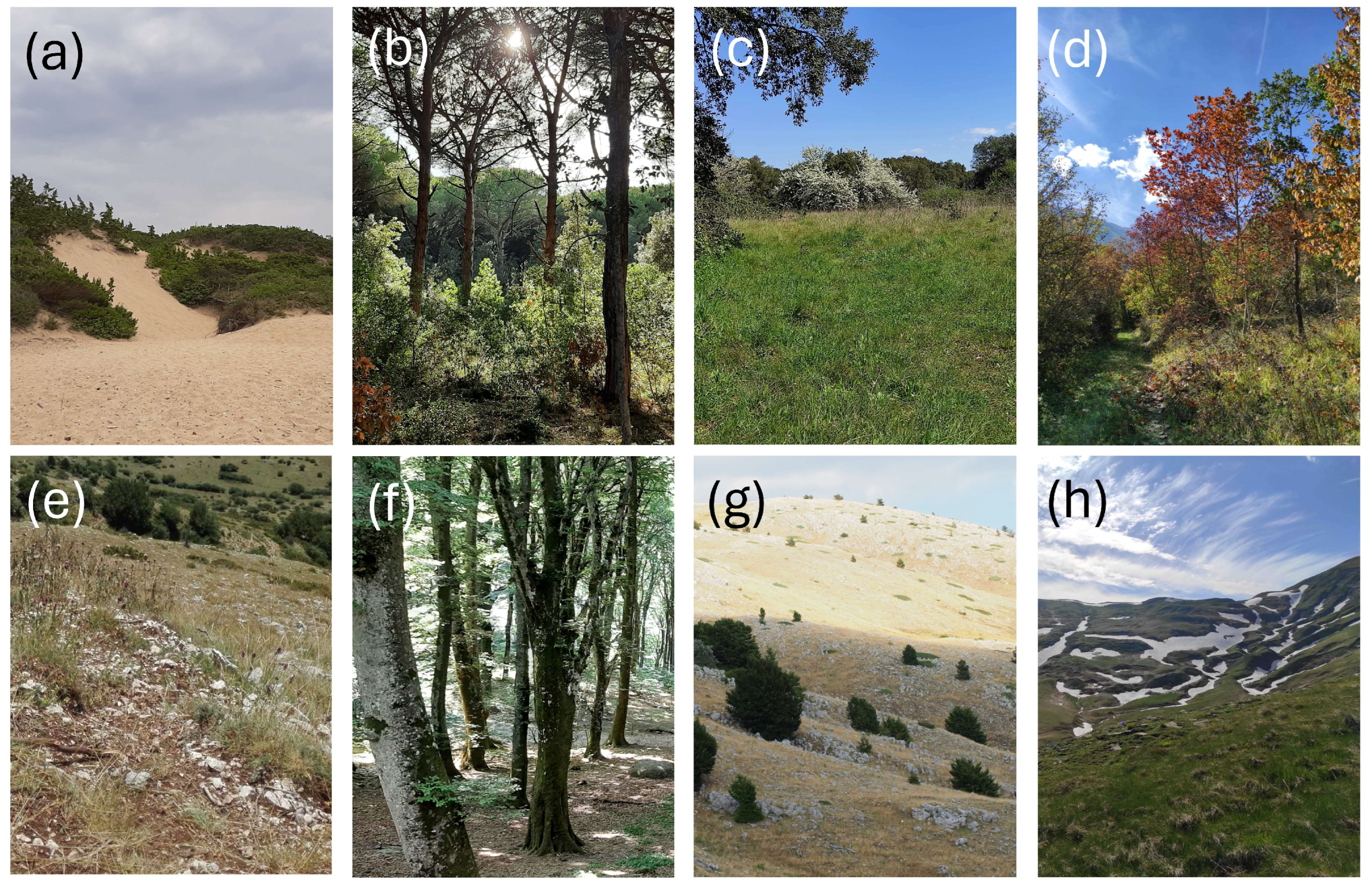 Diversity 16 00110 g002 Diversity 16 00110 g002