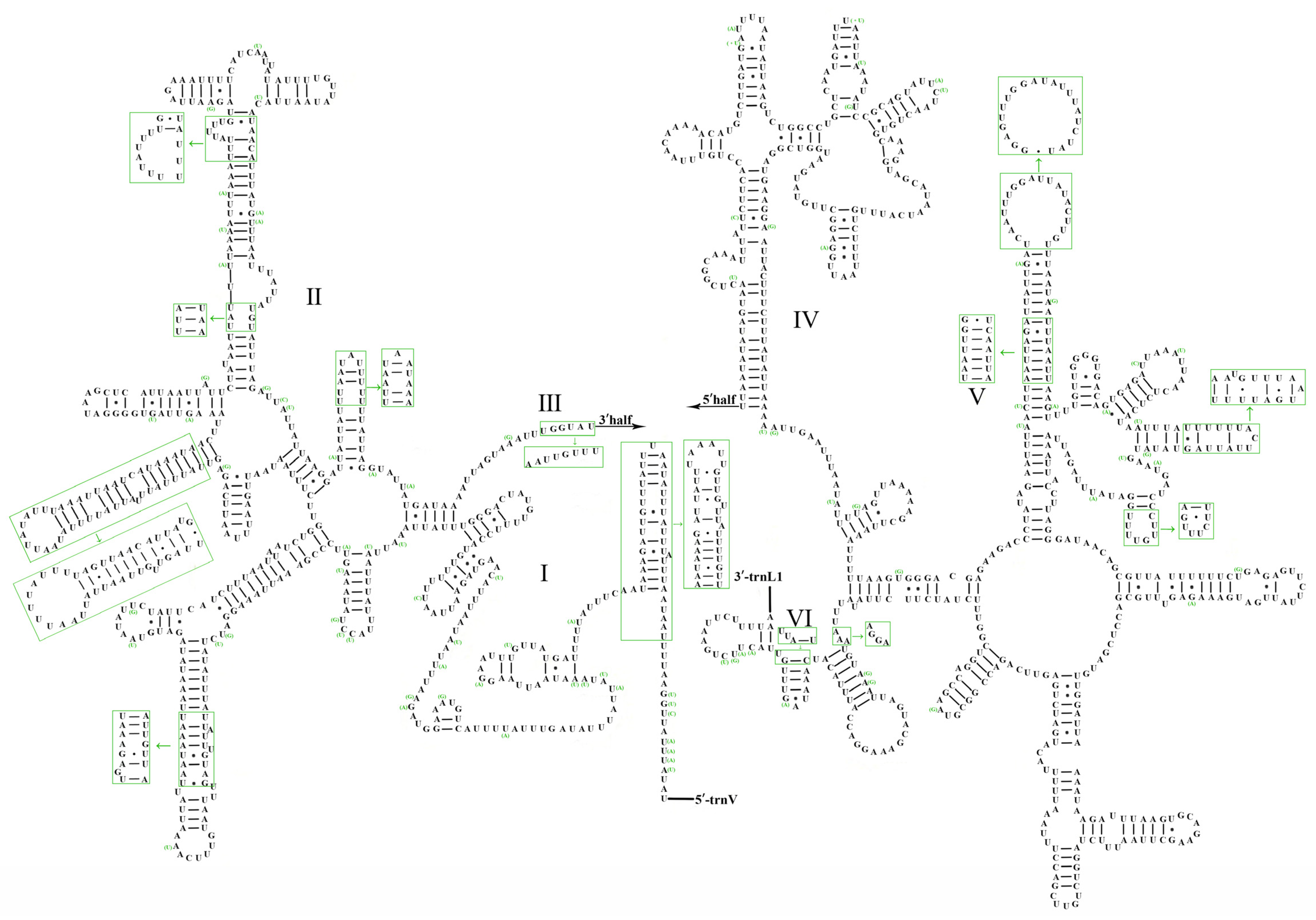 Diversity 16 00111 g005