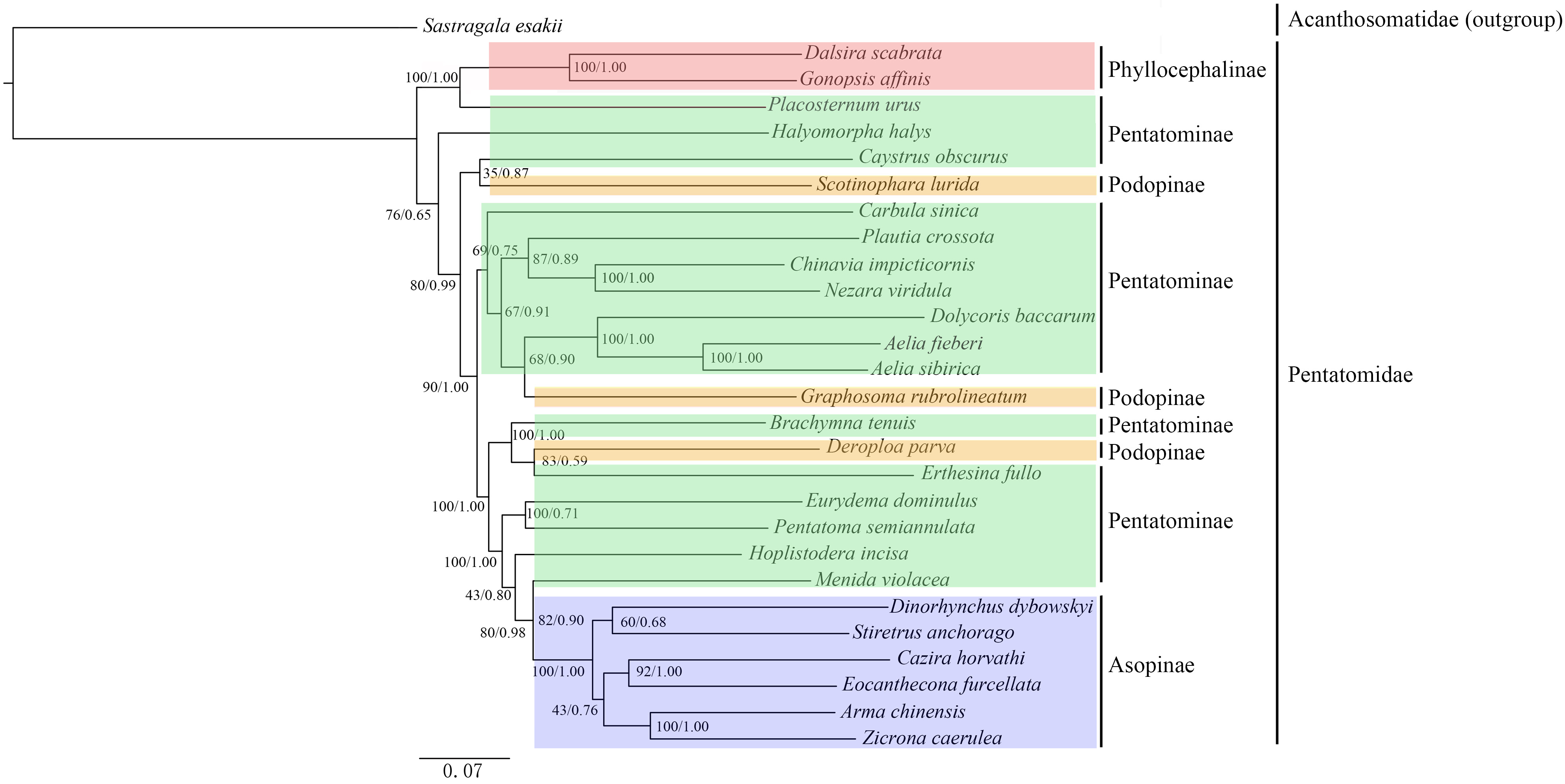 Diversity 16 00111 g006