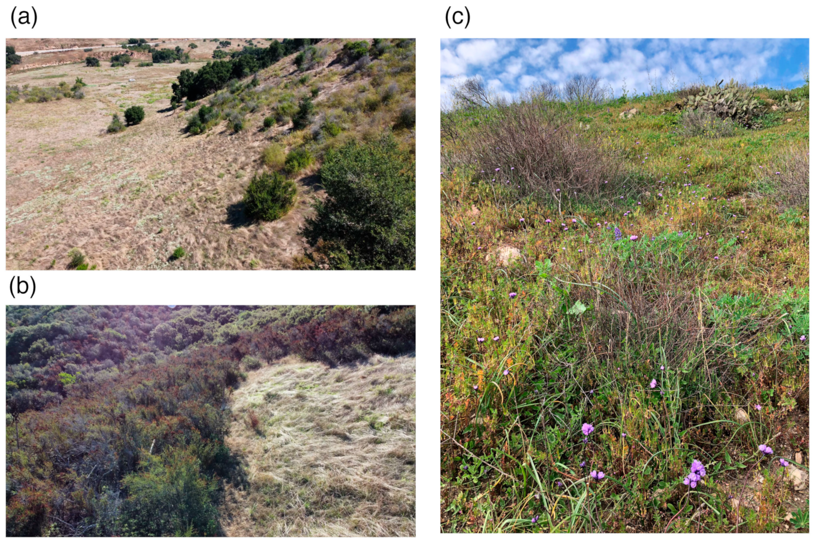 Diversity 16 00115 g002