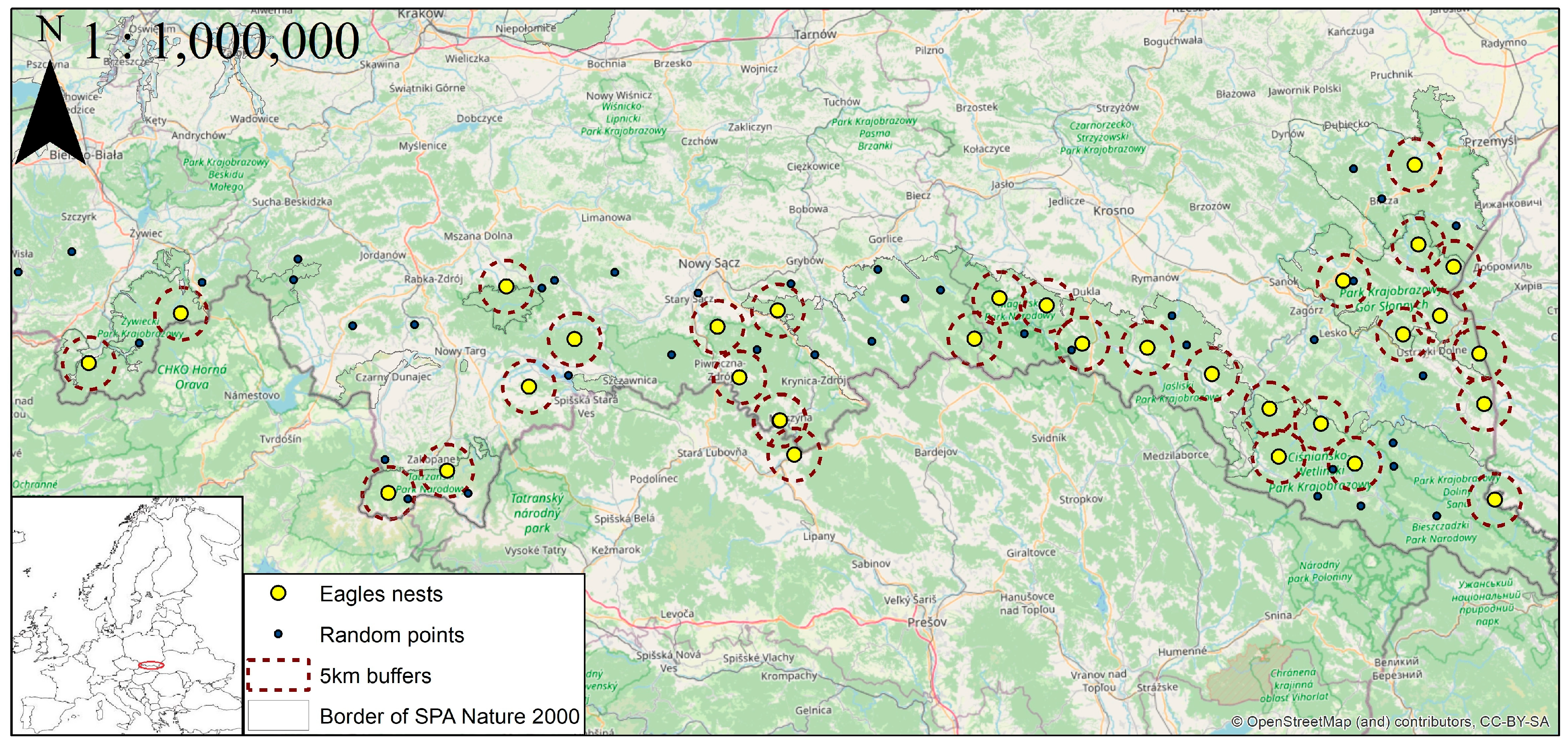 Diversity 16 00123 g001