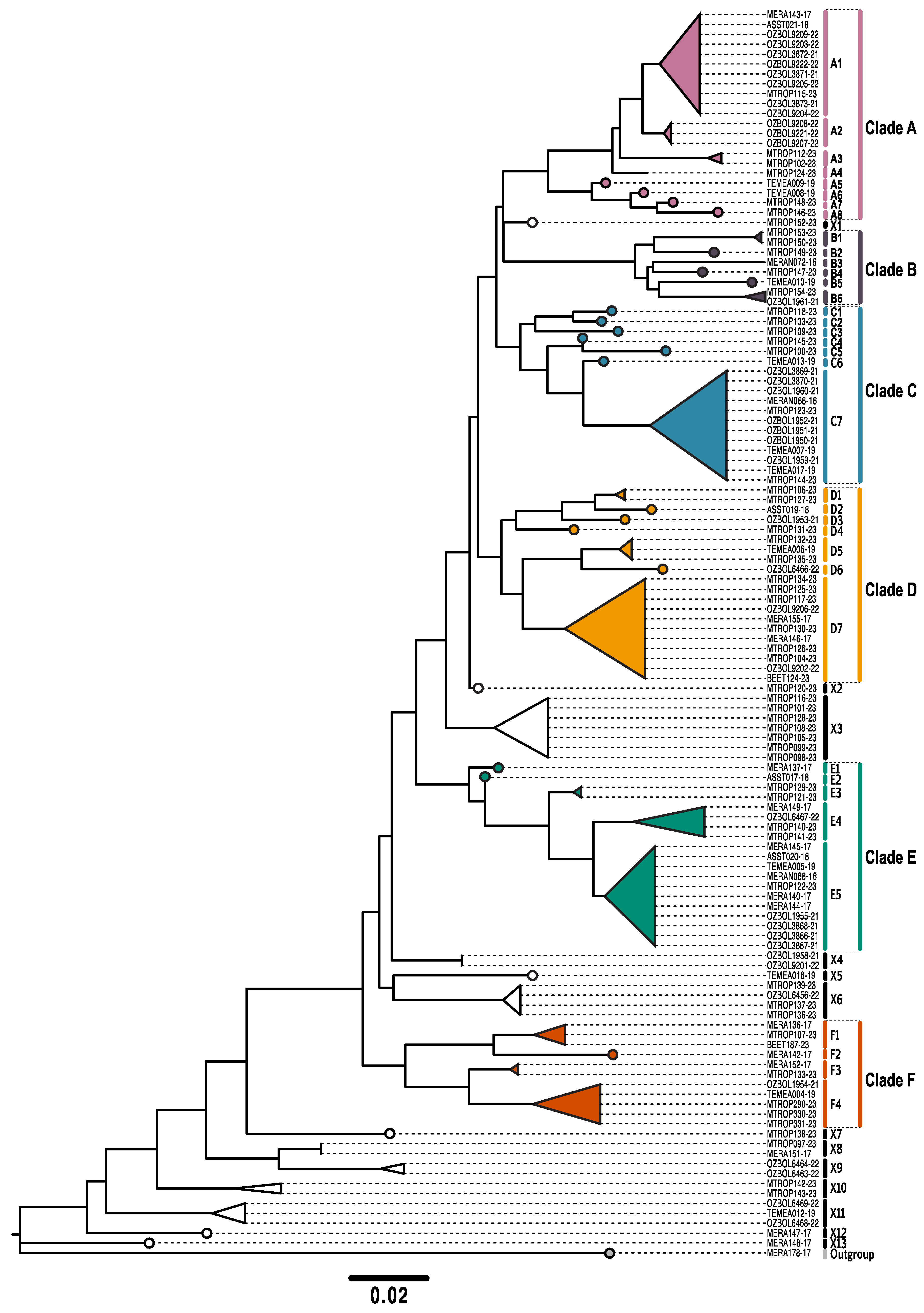 Diversity 16 00126 g006