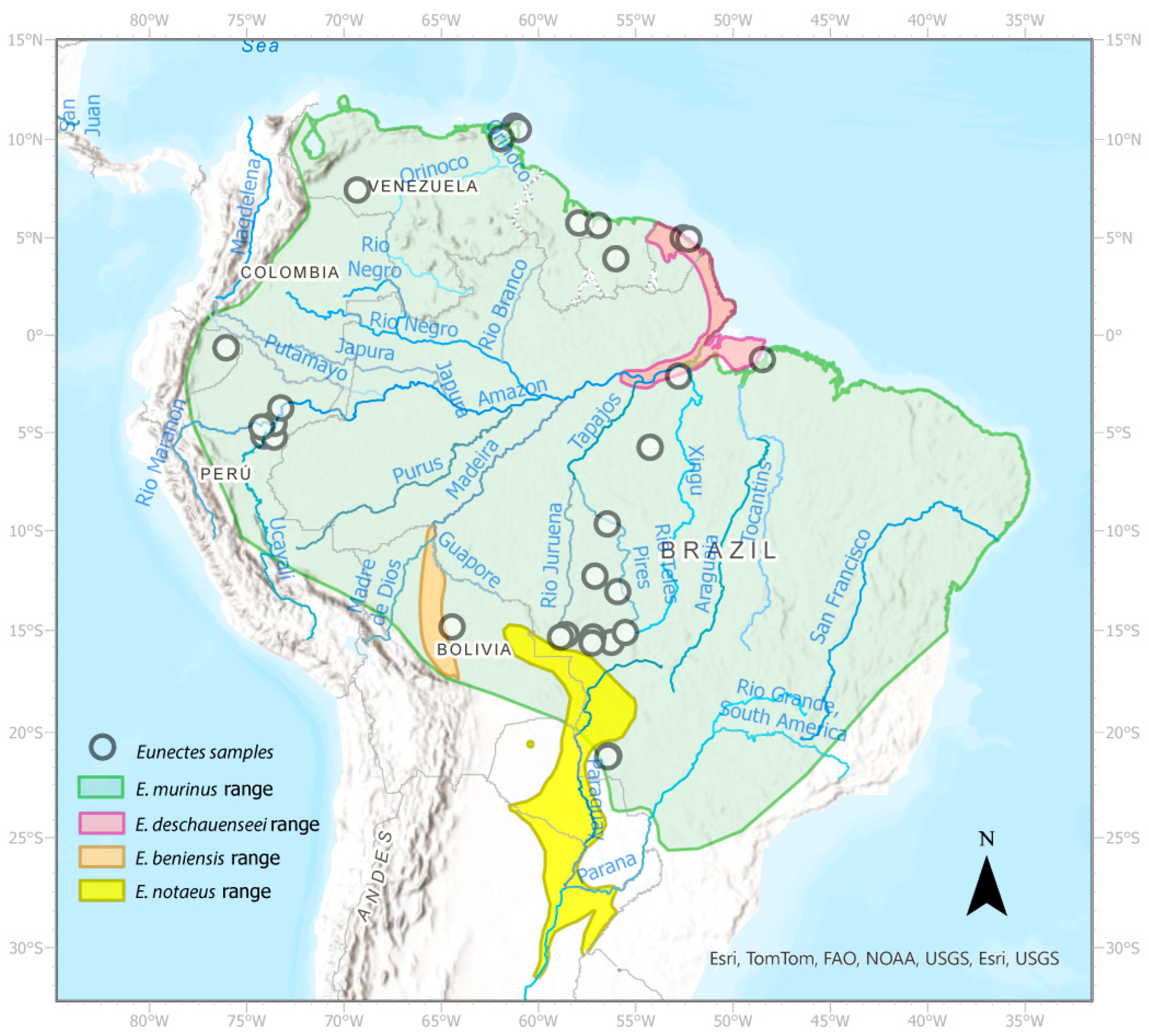 Diversity 16 00127 g001