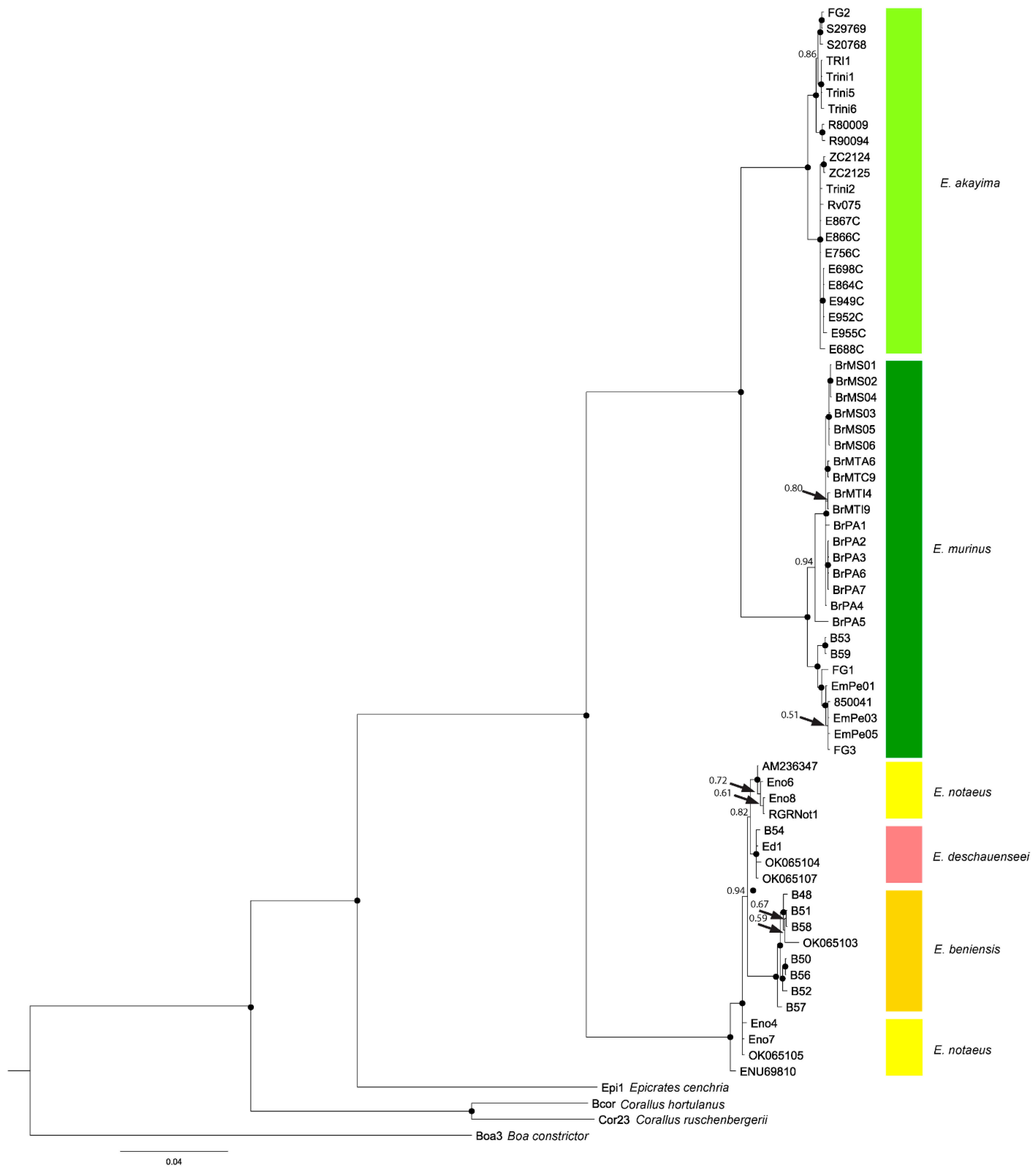 Diversity 16 00127 g002