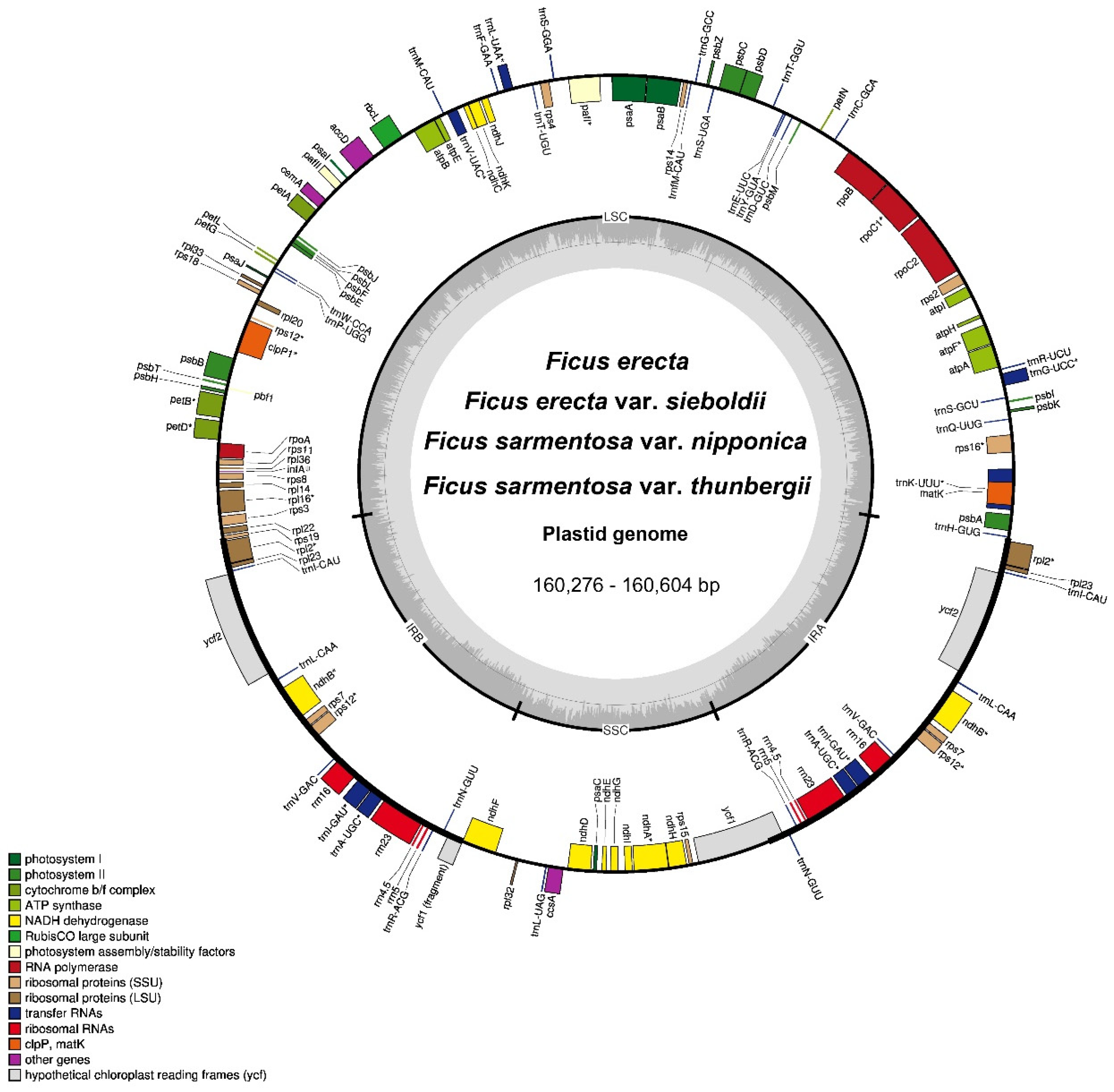 Diversity 16 00129 g001