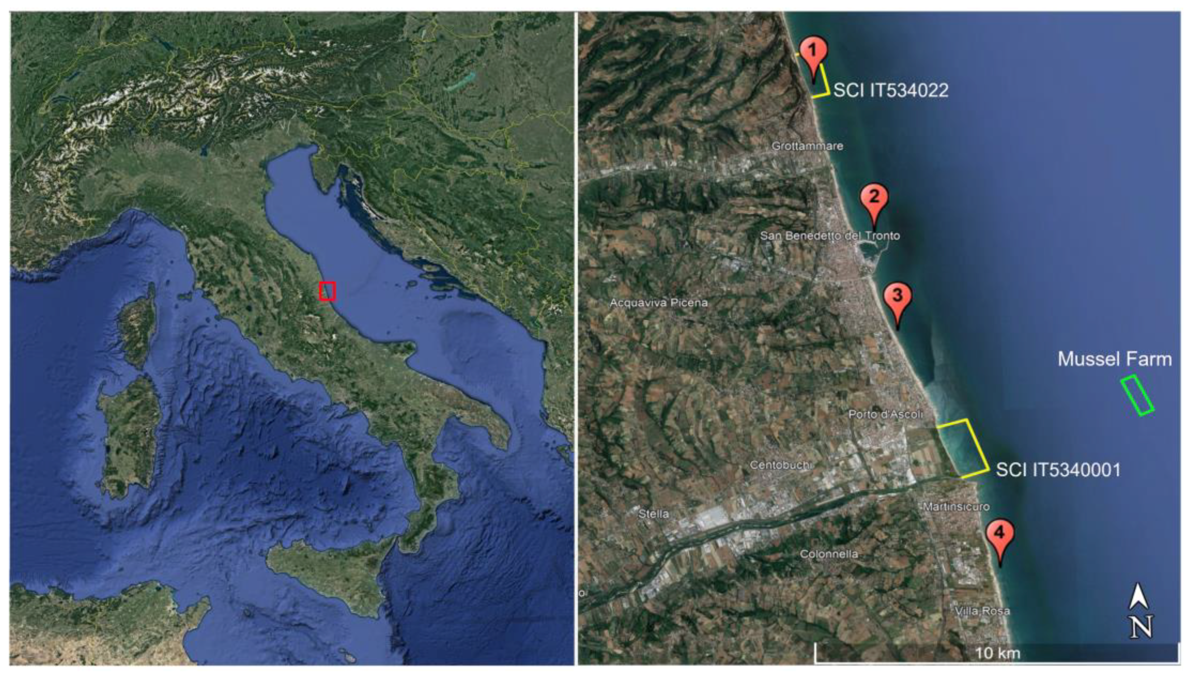 Diversity 16 00130 g001