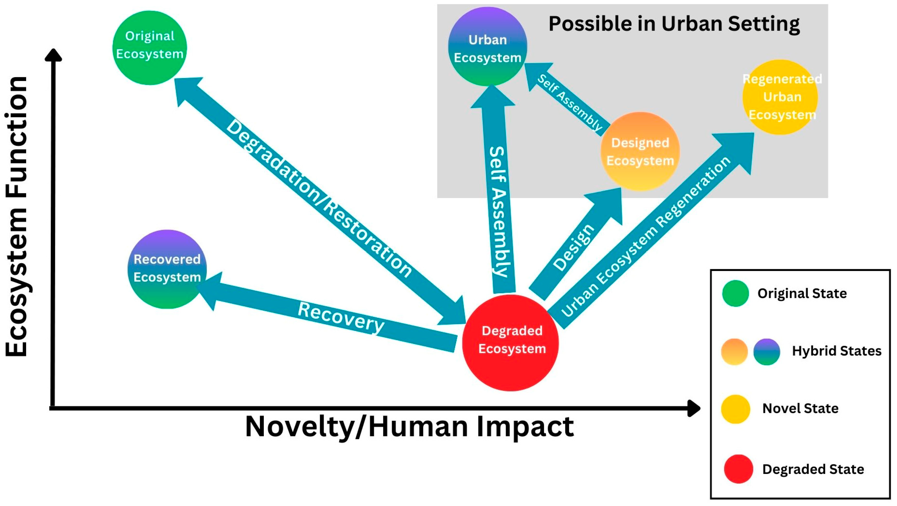 Diversity 16 00131 g002