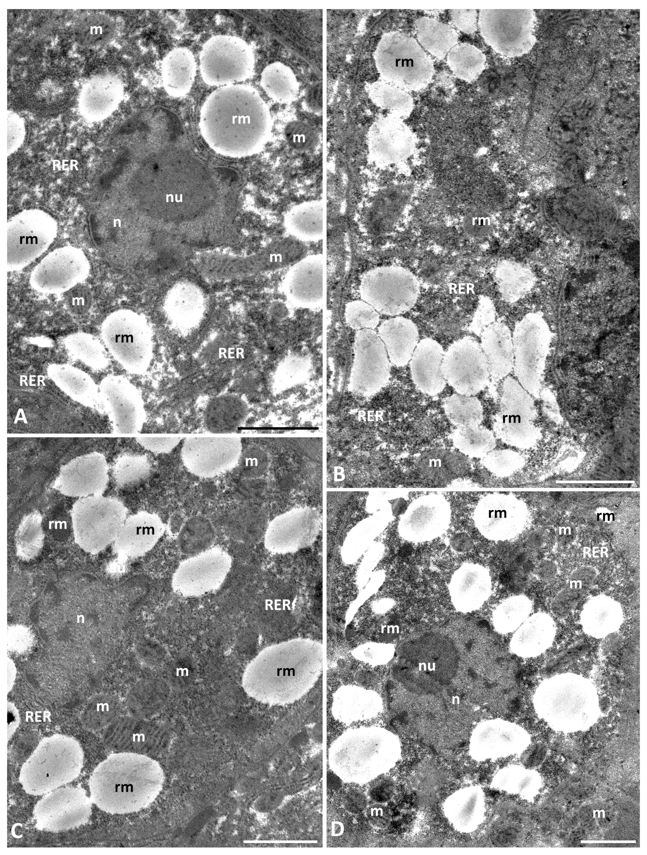 Diversity 16 00132 g002