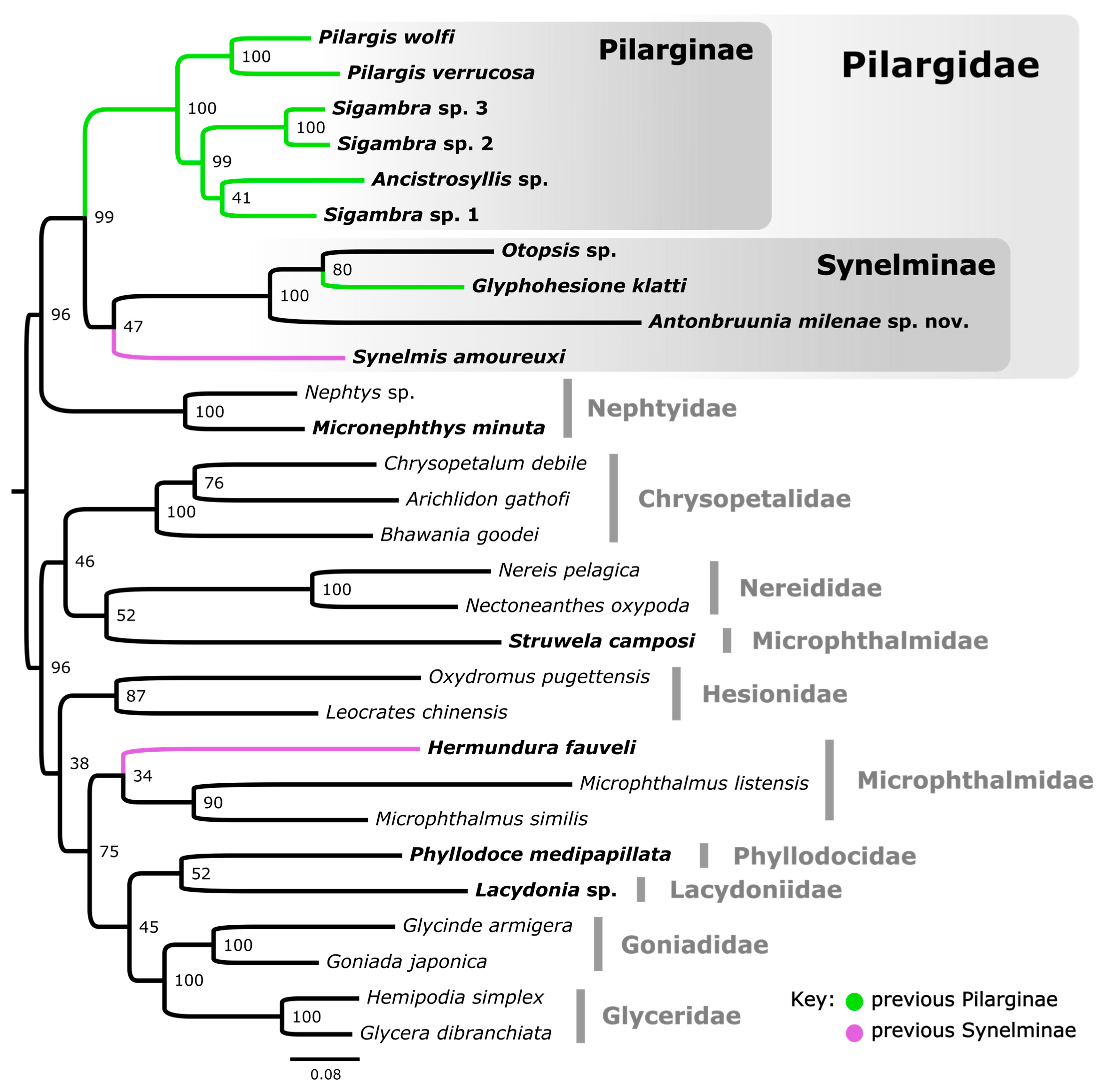 Diversity 16 00134 g002 Diversity 16 00134 g002