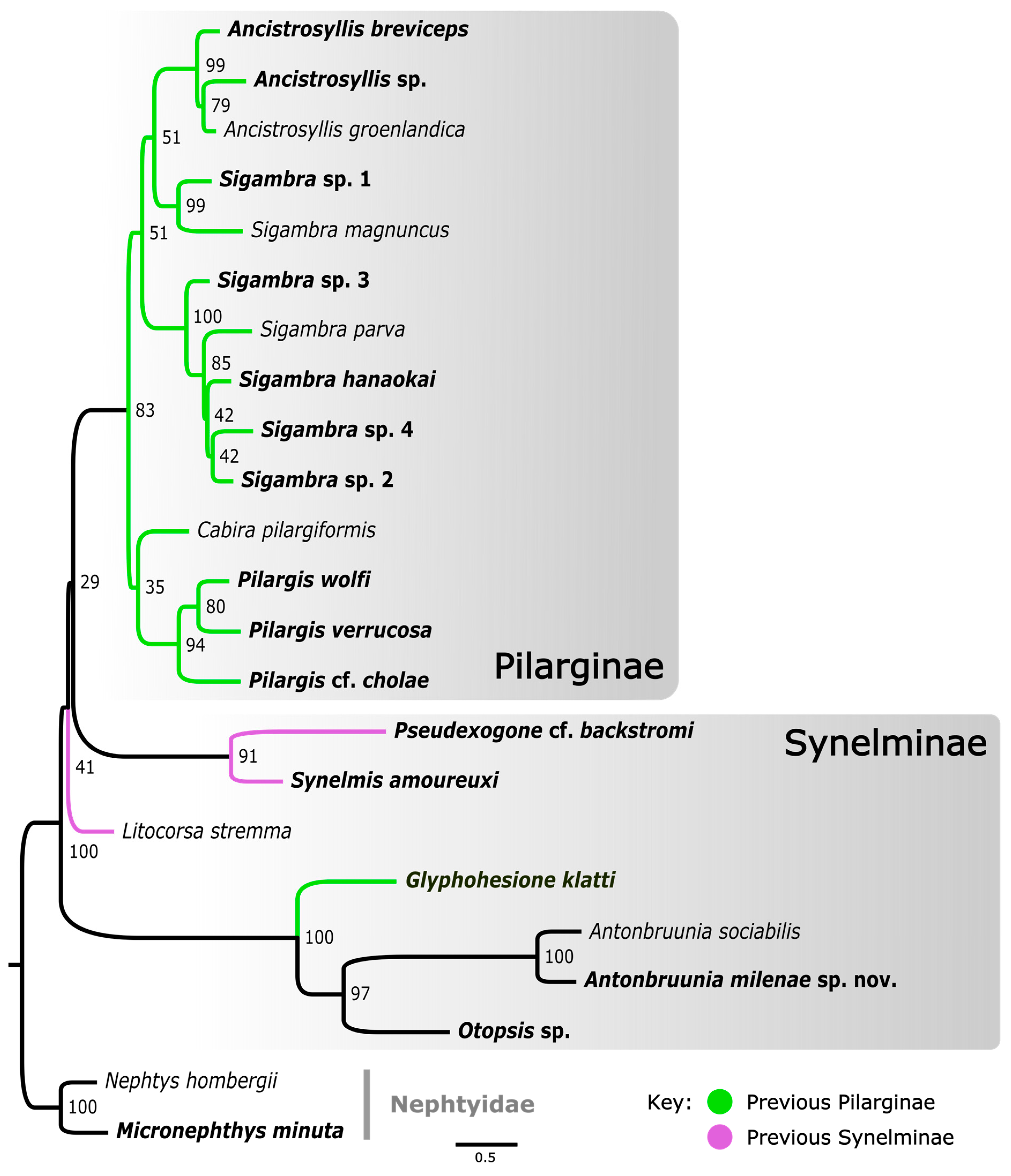 Diversity 16 00134 g003 Diversity 16 00134 g003