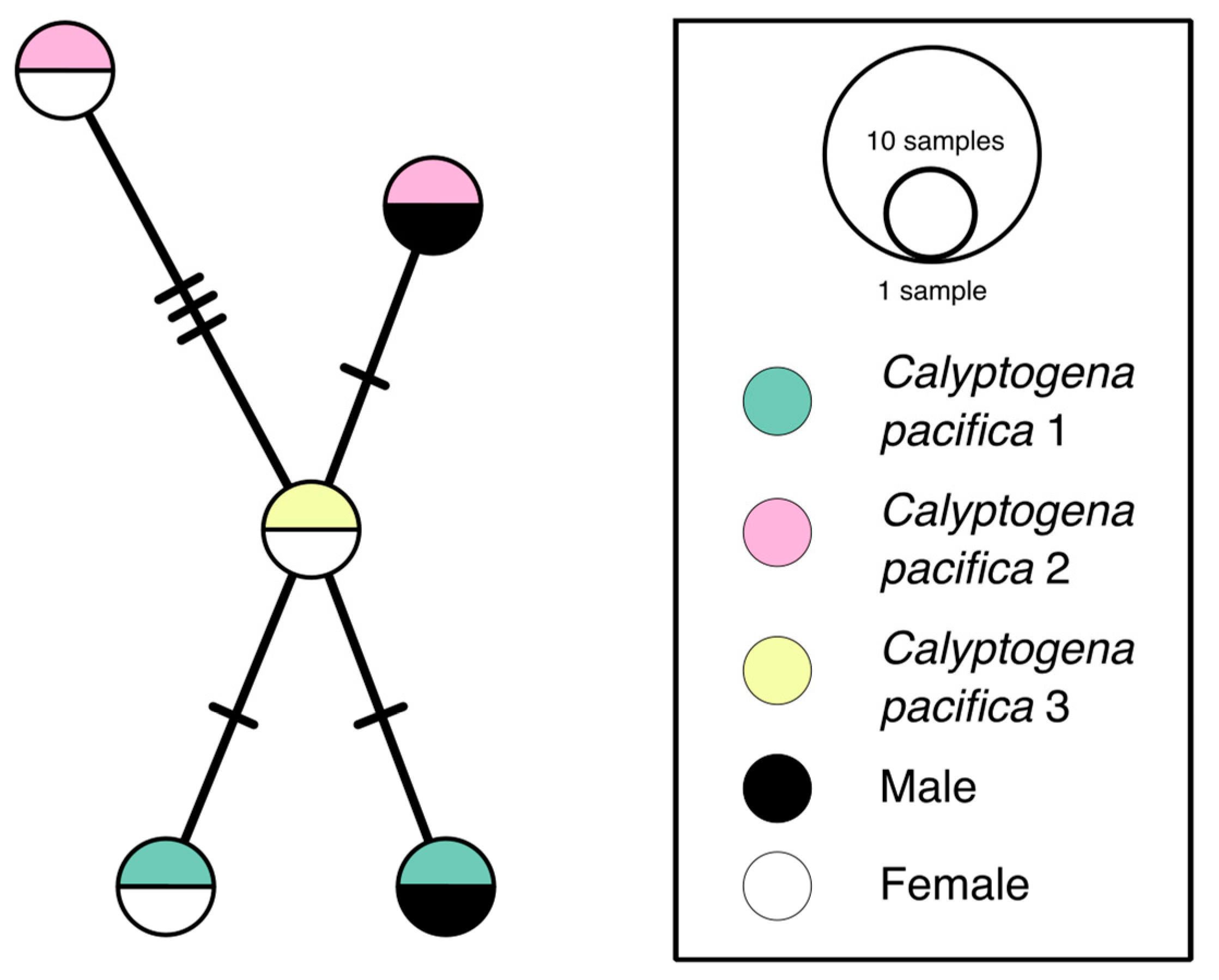 Diversity 16 00134 g004 Diversity 16 00134 g004