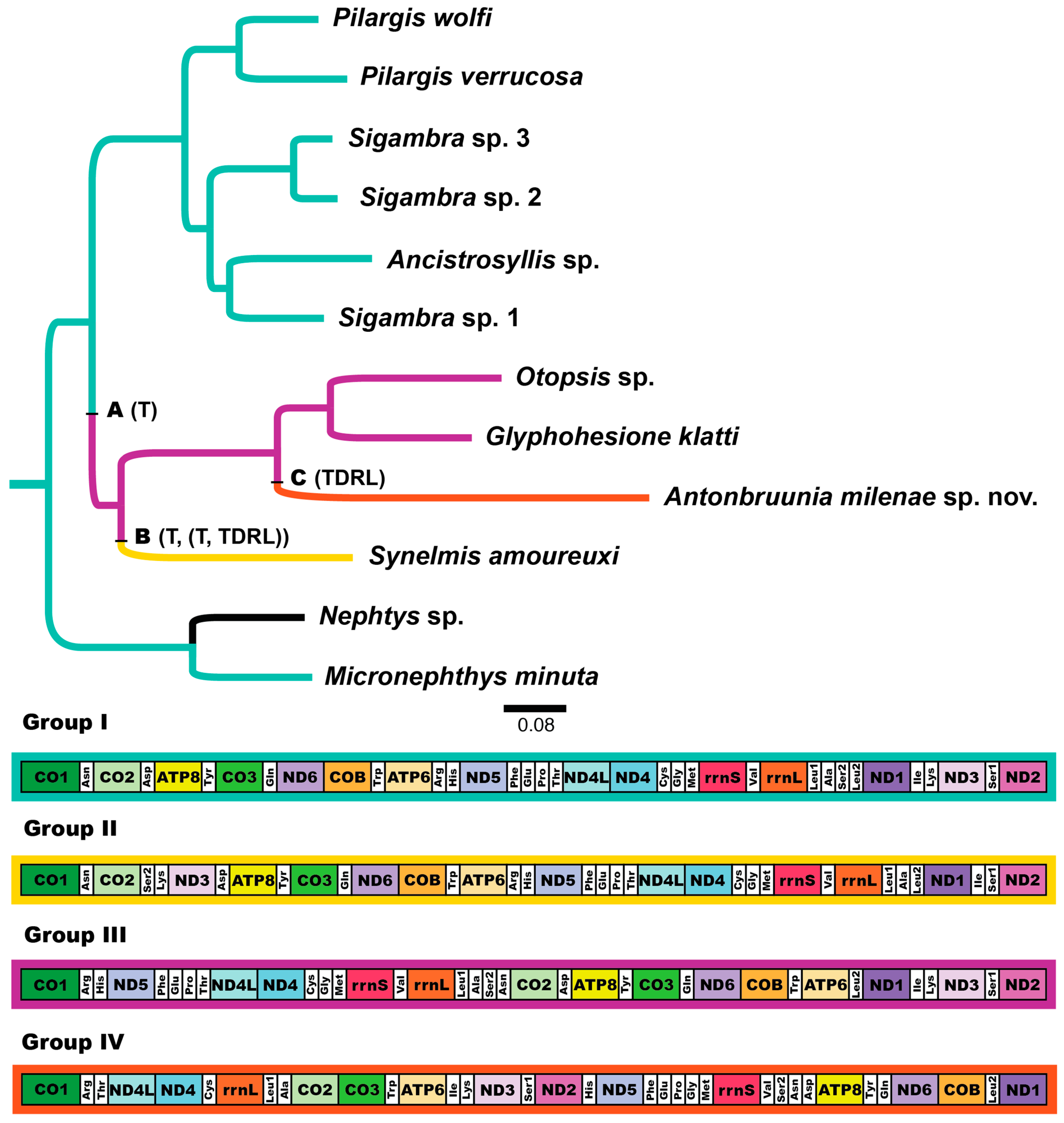Diversity 16 00134 g005 Diversity 16 00134 g005