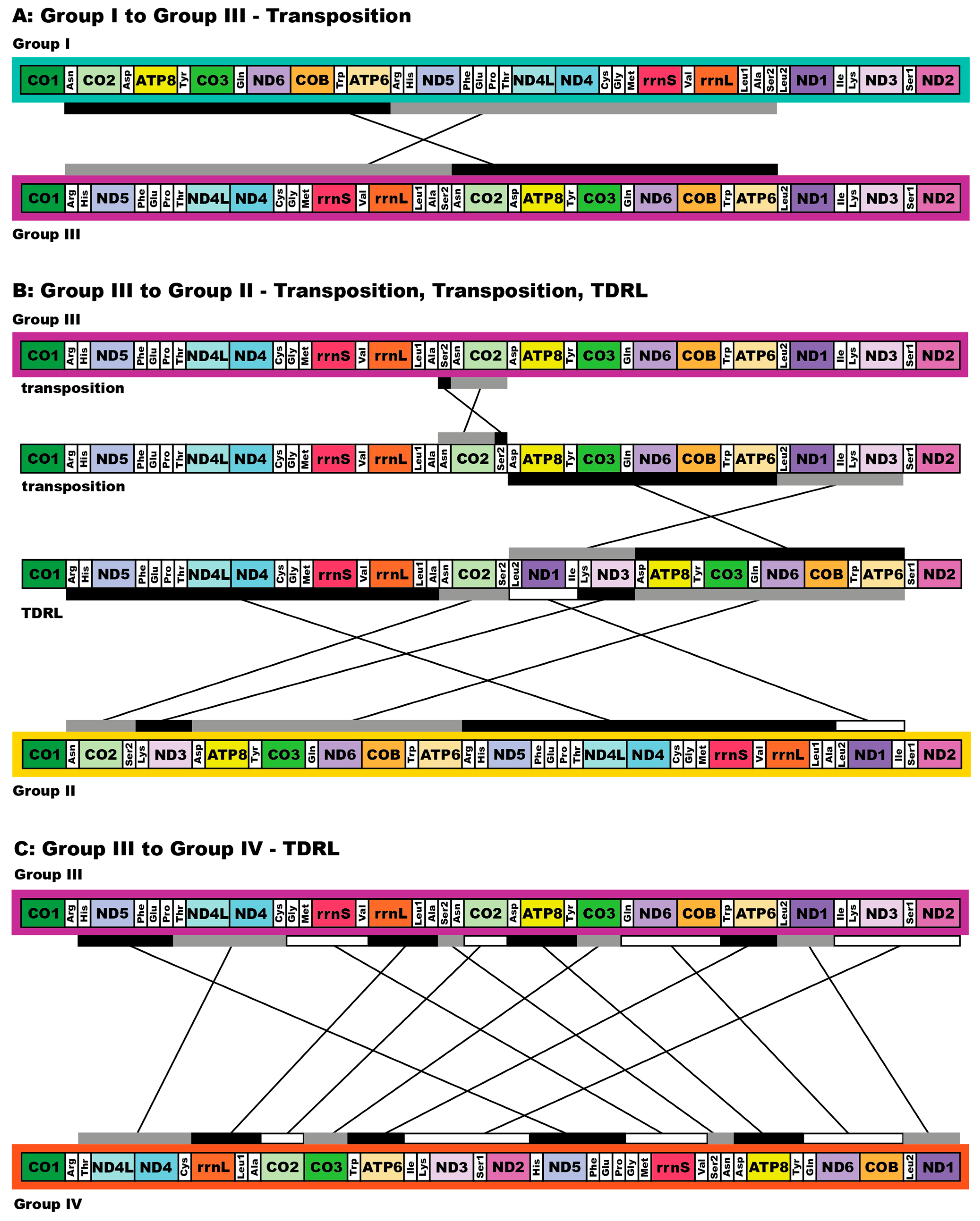 Diversity 16 00134 g006 Diversity 16 00134 g006