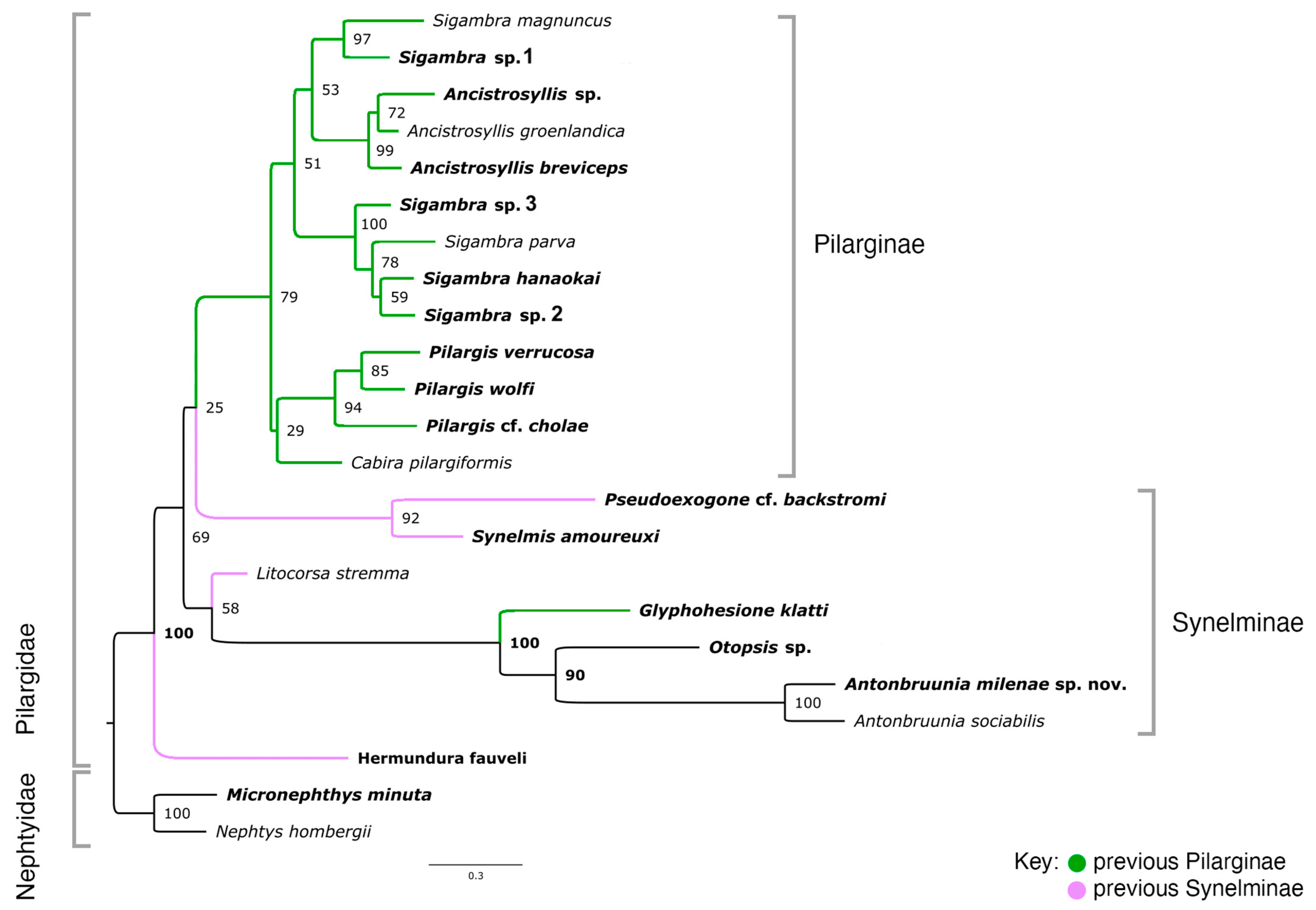 Diversity 16 00134 g0a1 Diversity 16 00134 g0a1