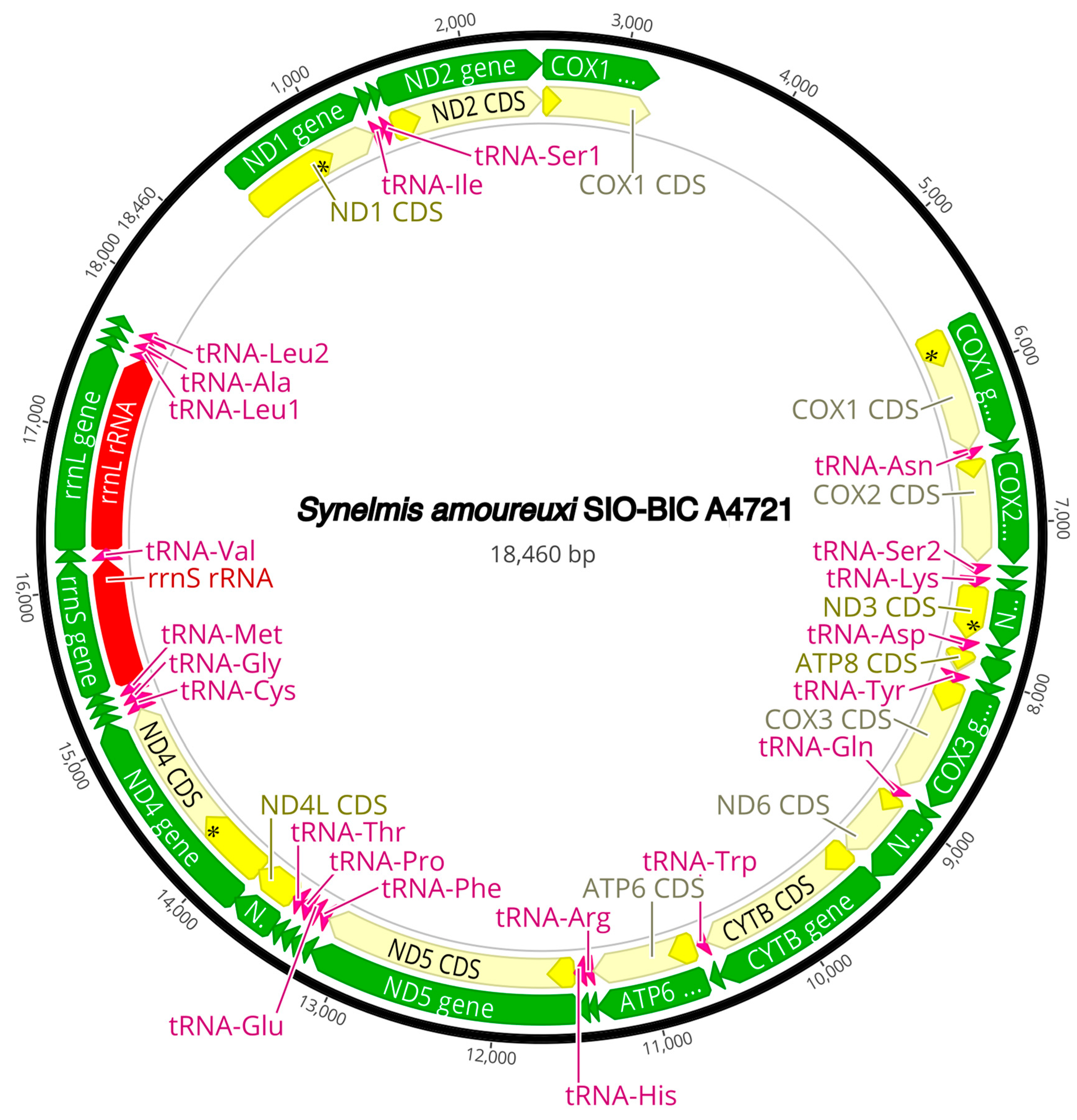 Diversity 16 00134 g0a11 Diversity 16 00134 g0a11