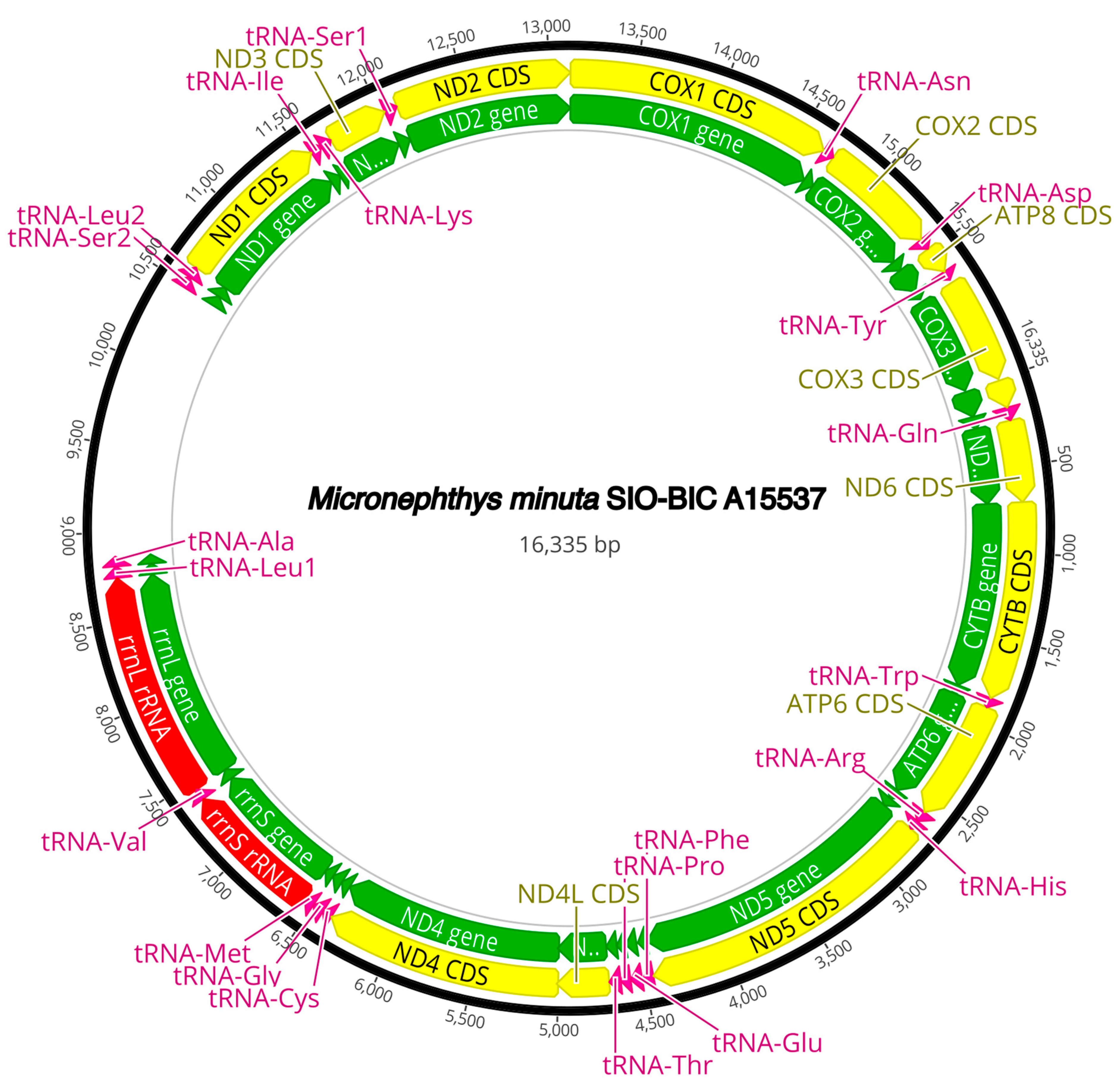 Diversity 16 00134 g0a12 Diversity 16 00134 g0a12