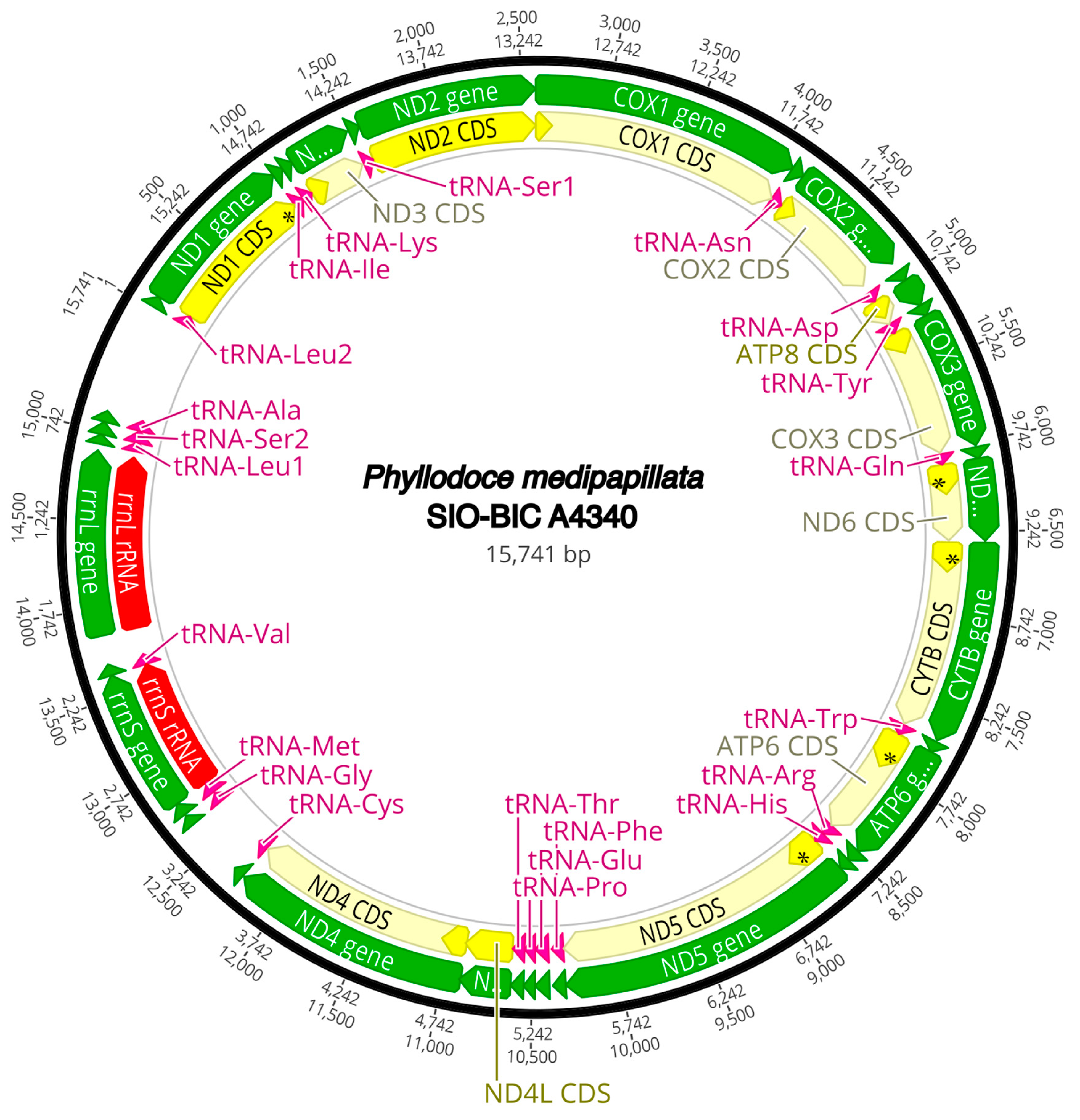 Diversity 16 00134 g0a14 Diversity 16 00134 g0a14