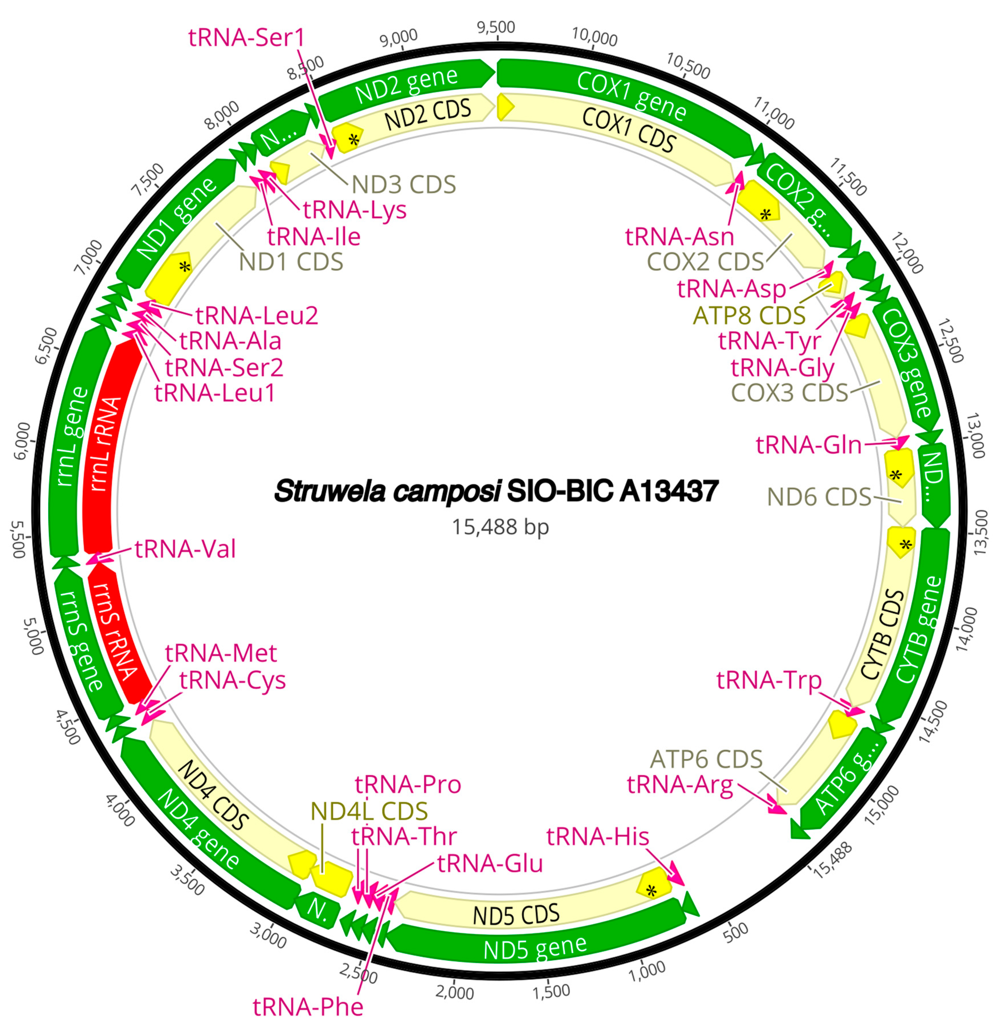 Diversity 16 00134 g0a15 Diversity 16 00134 g0a15