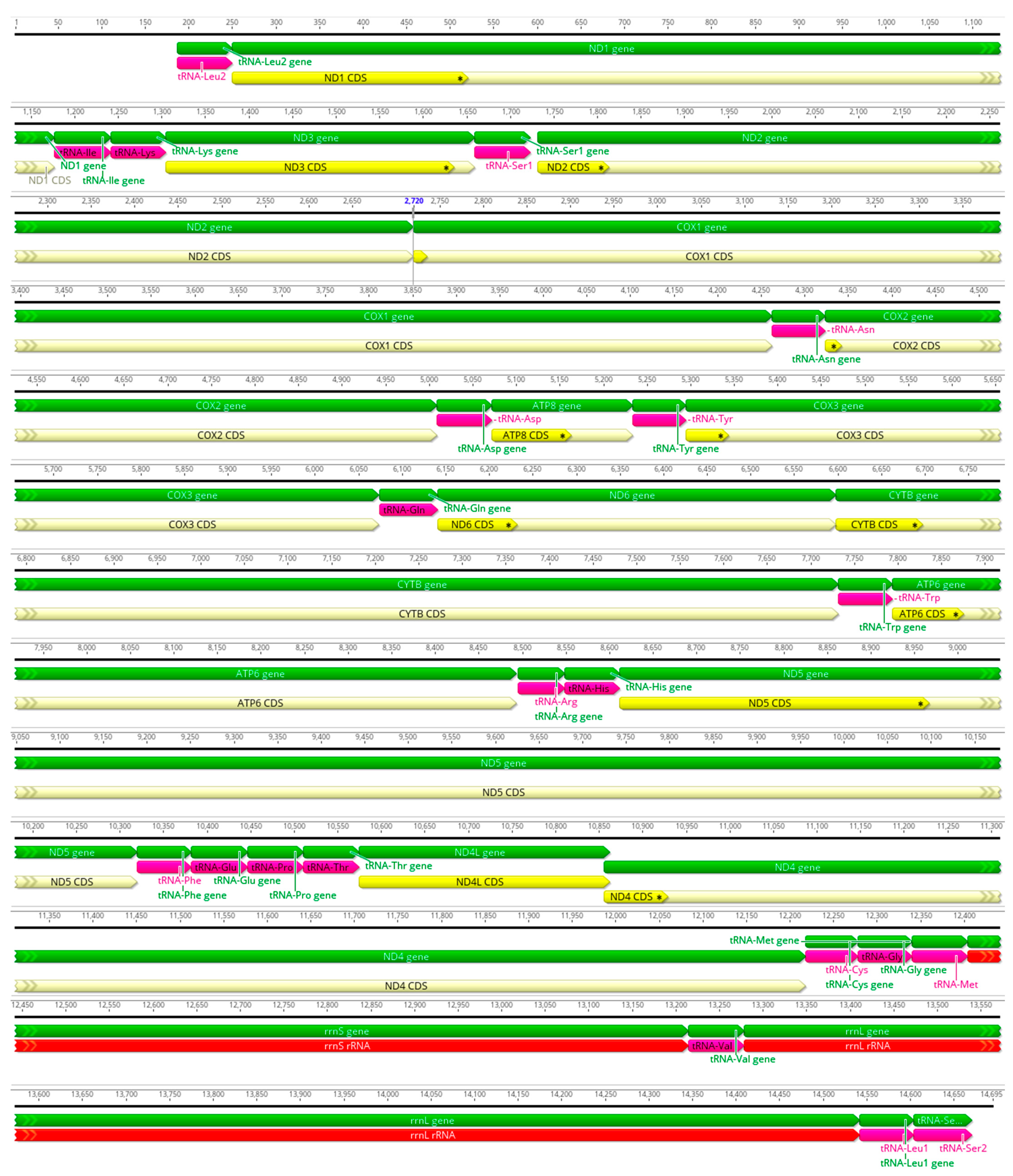 Diversity 16 00134 g0a16 Diversity 16 00134 g0a16