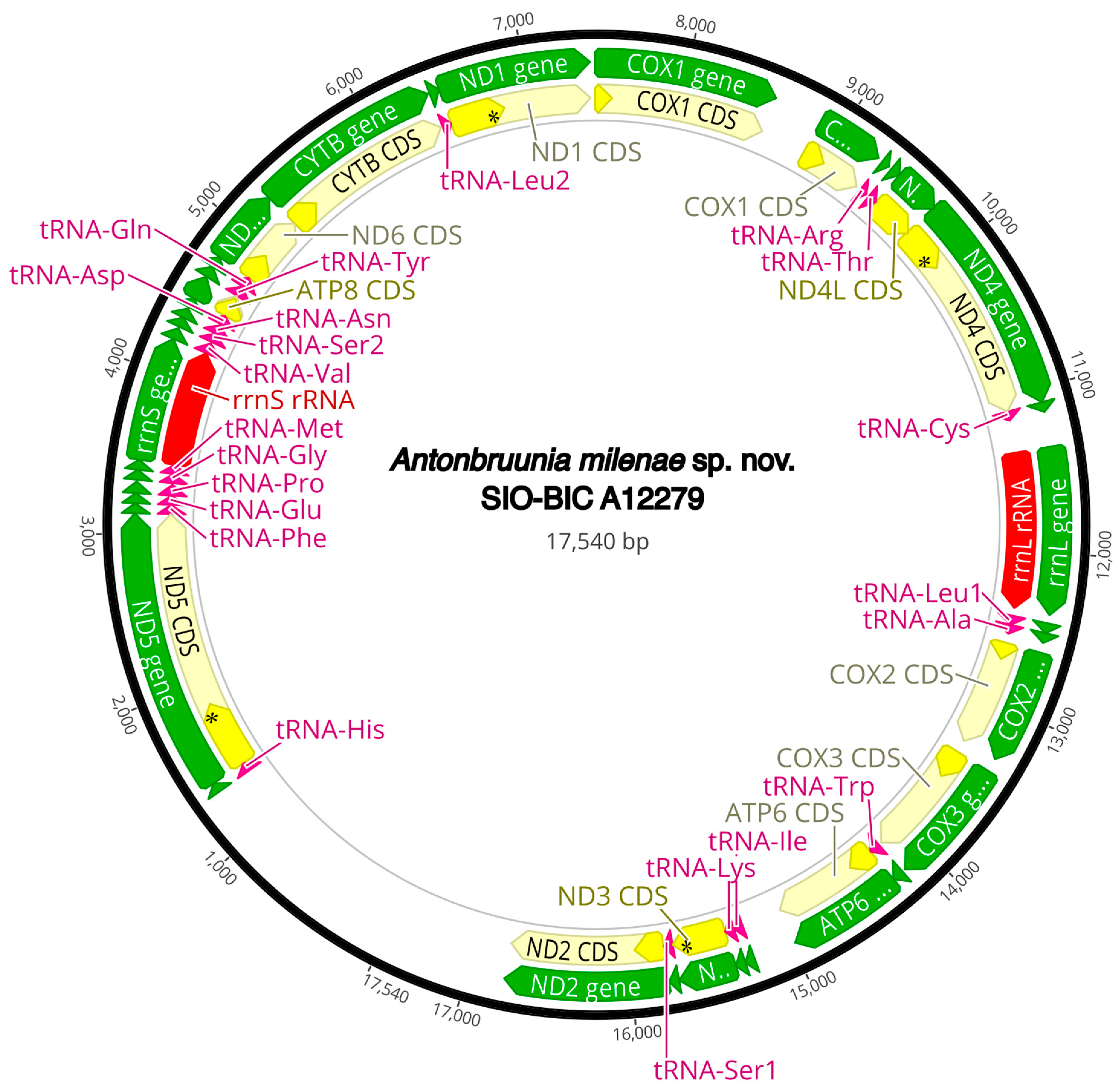 Diversity 16 00134 g0a2 Diversity 16 00134 g0a2