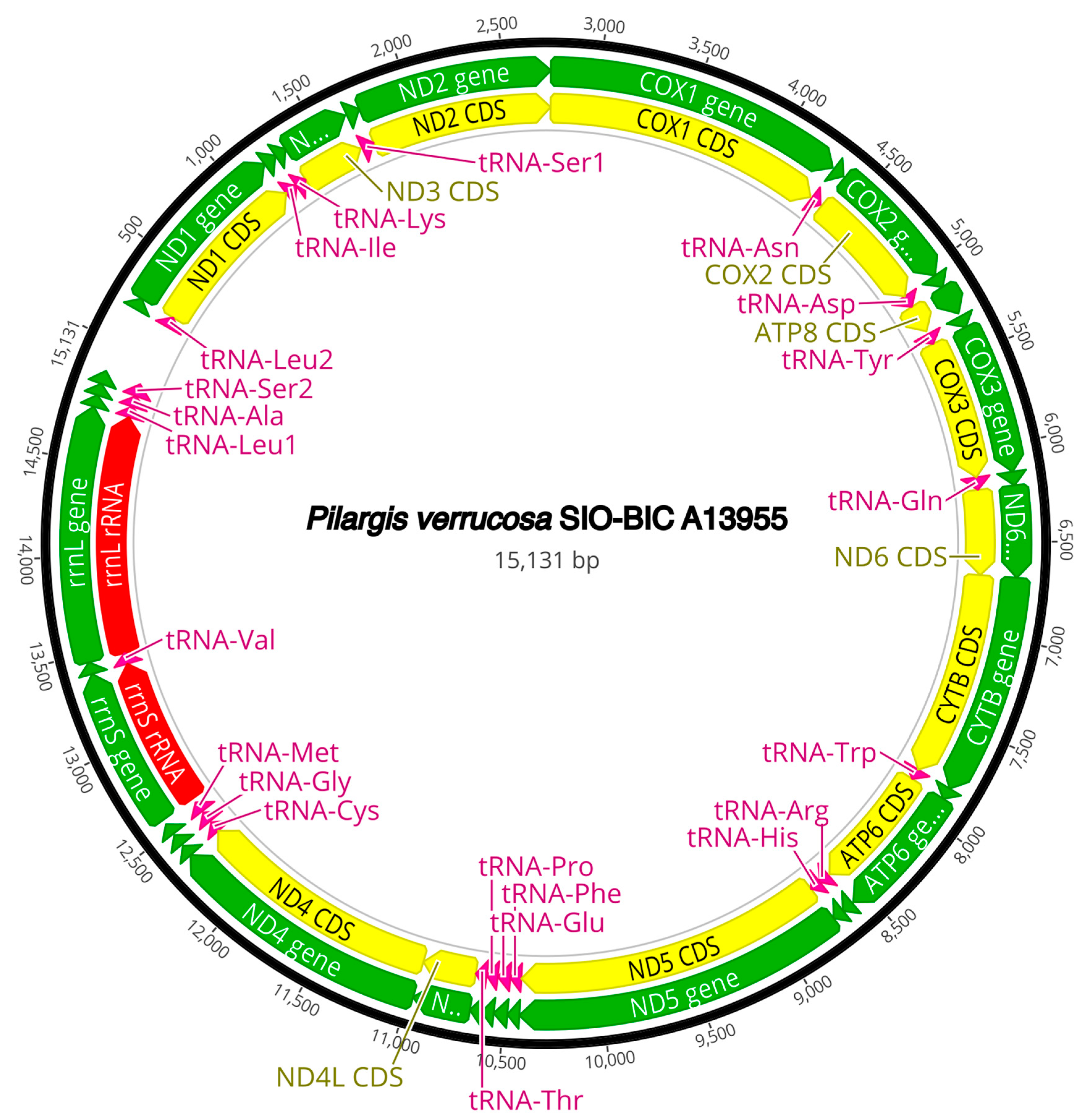 Diversity 16 00134 g0a3 Diversity 16 00134 g0a3