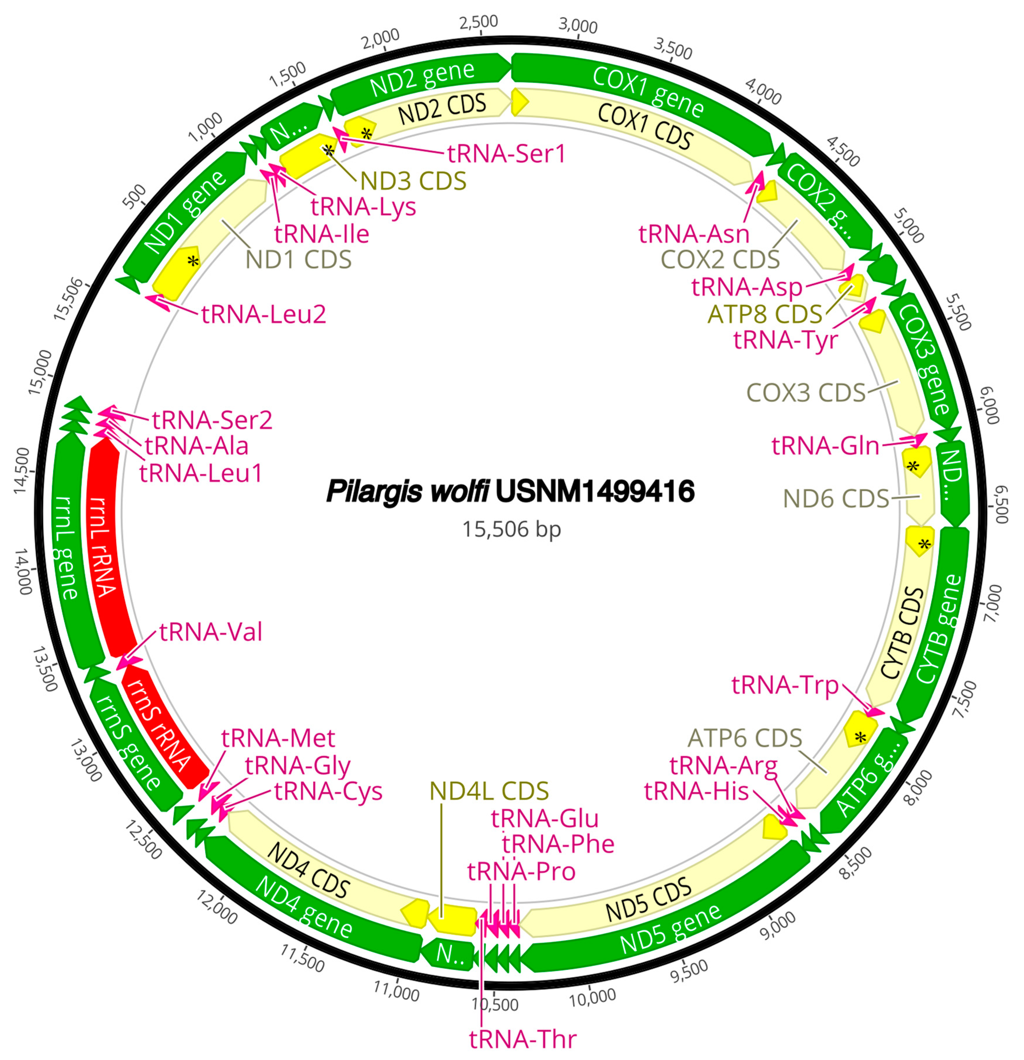 Diversity 16 00134 g0a4 Diversity 16 00134 g0a4