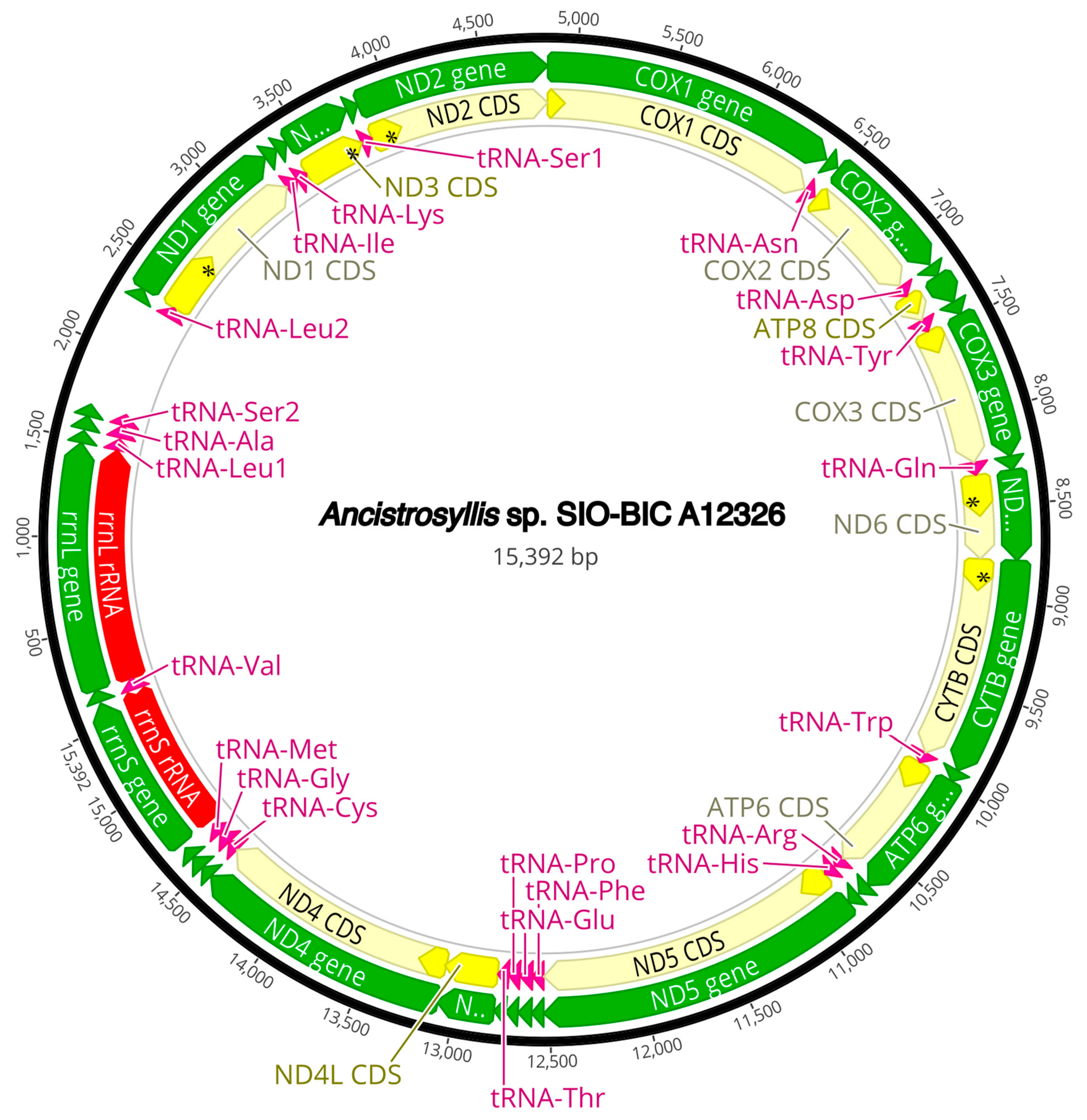 Diversity 16 00134 g0a5 Diversity 16 00134 g0a5