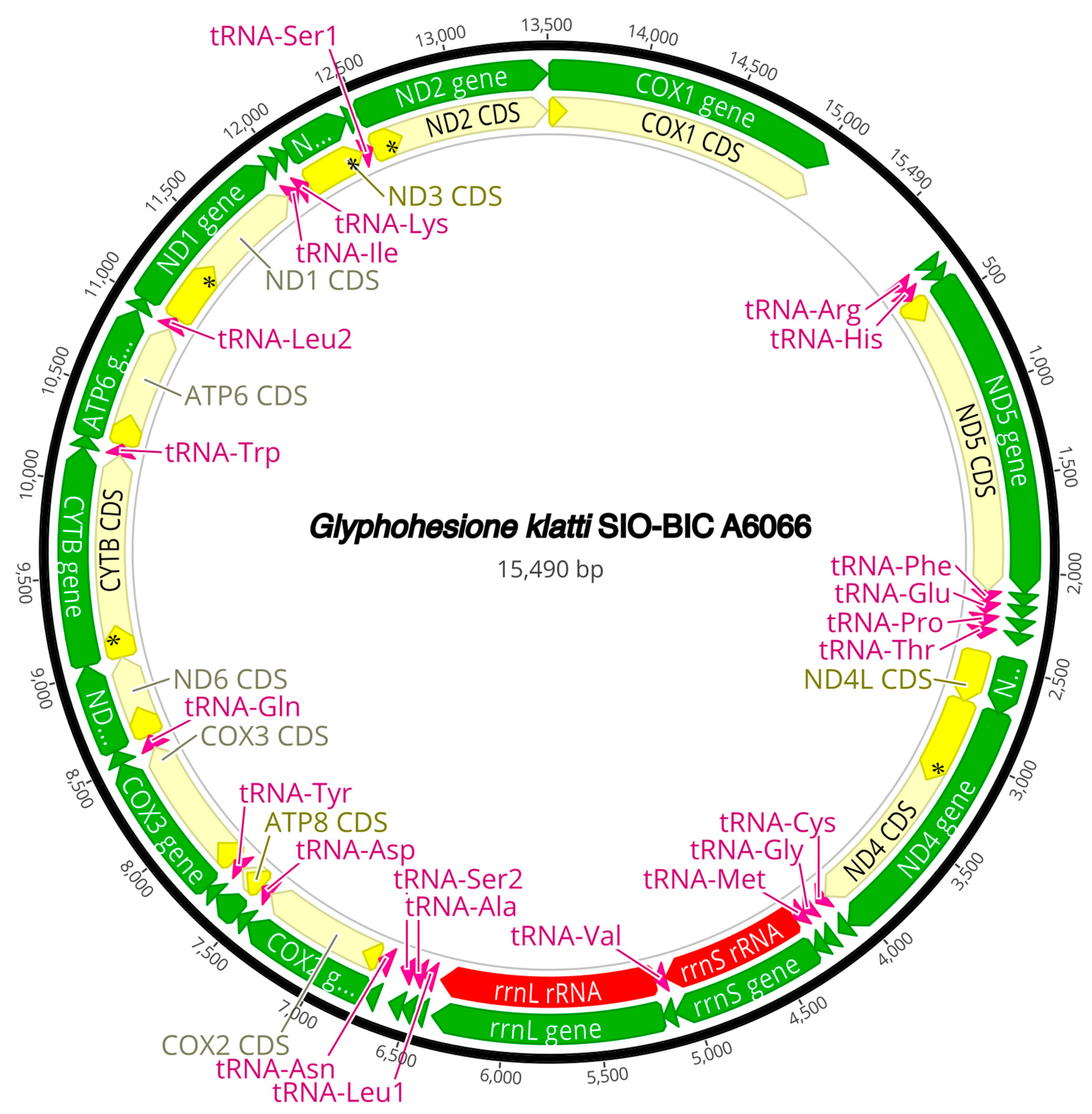 Diversity 16 00134 g0a6 Diversity 16 00134 g0a6