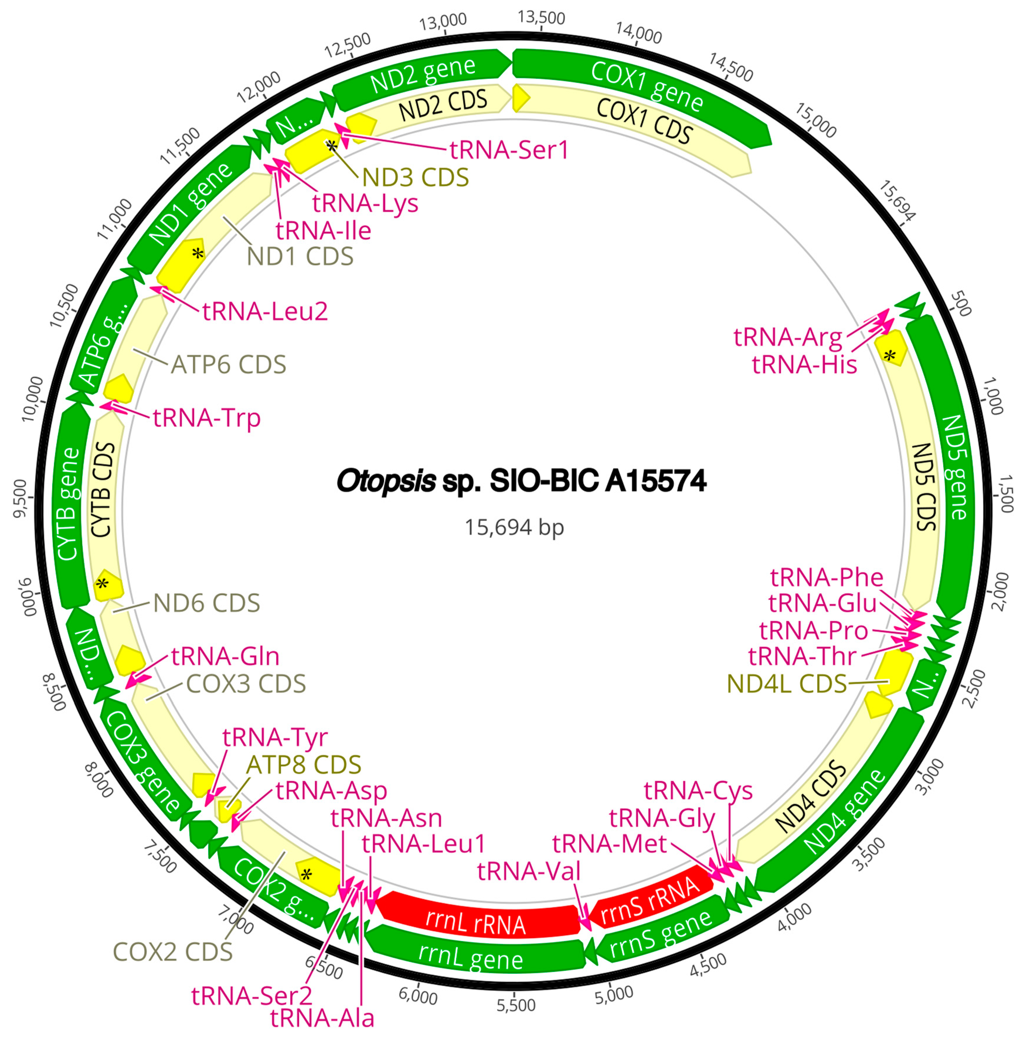 Diversity 16 00134 g0a7 Diversity 16 00134 g0a7