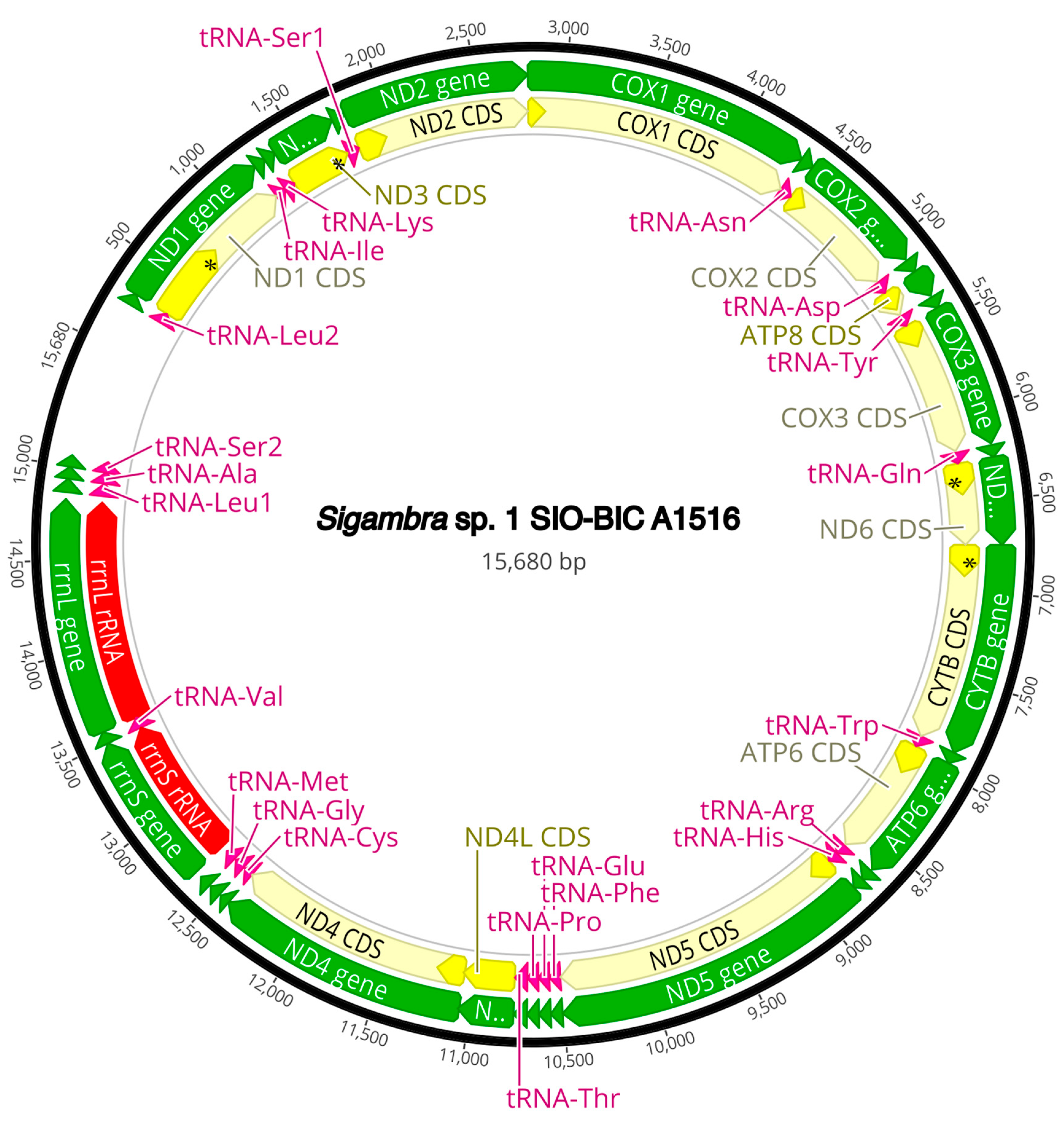 Diversity 16 00134 g0a8 Diversity 16 00134 g0a8