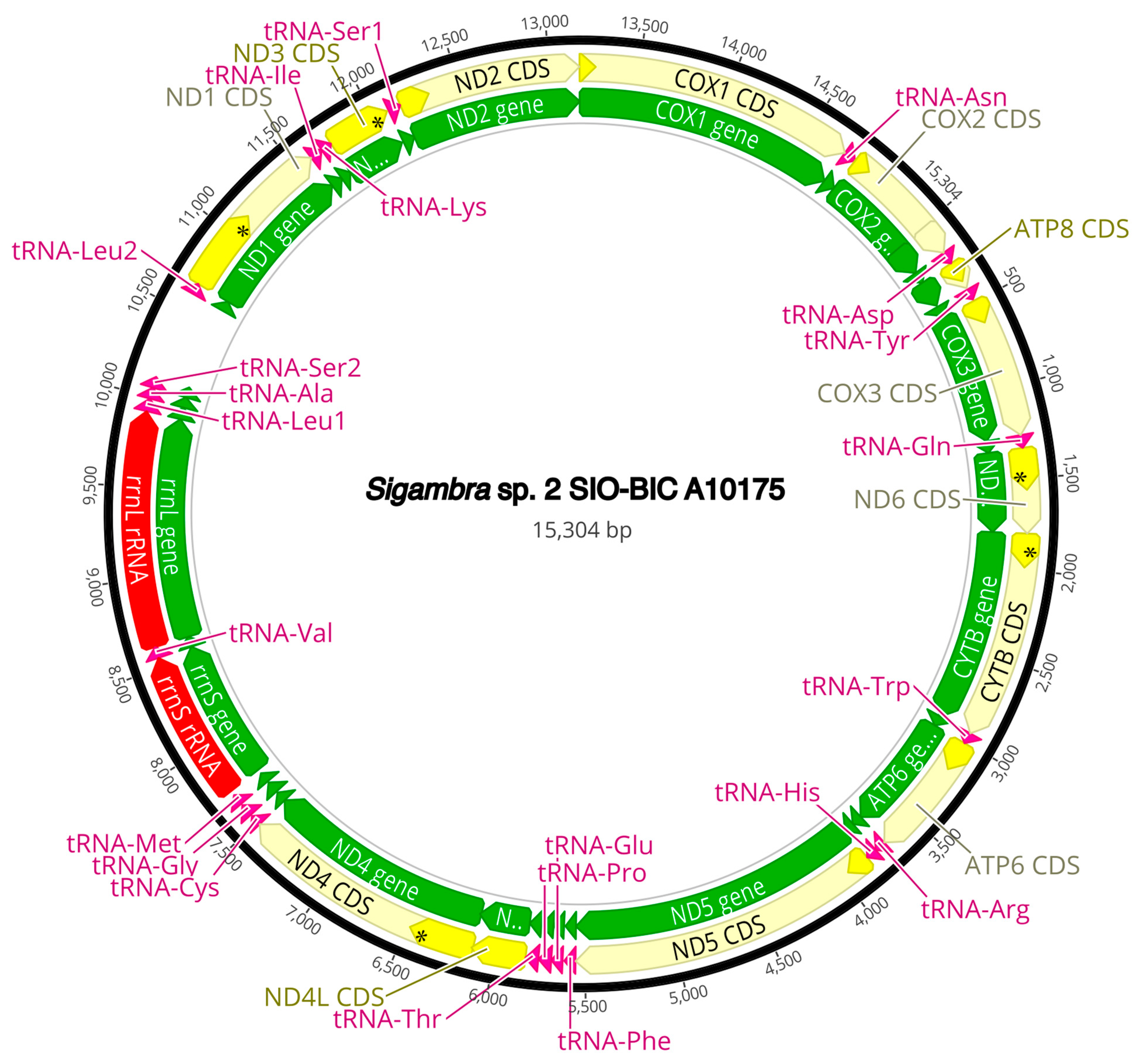 Diversity 16 00134 g0a9 Diversity 16 00134 g0a9