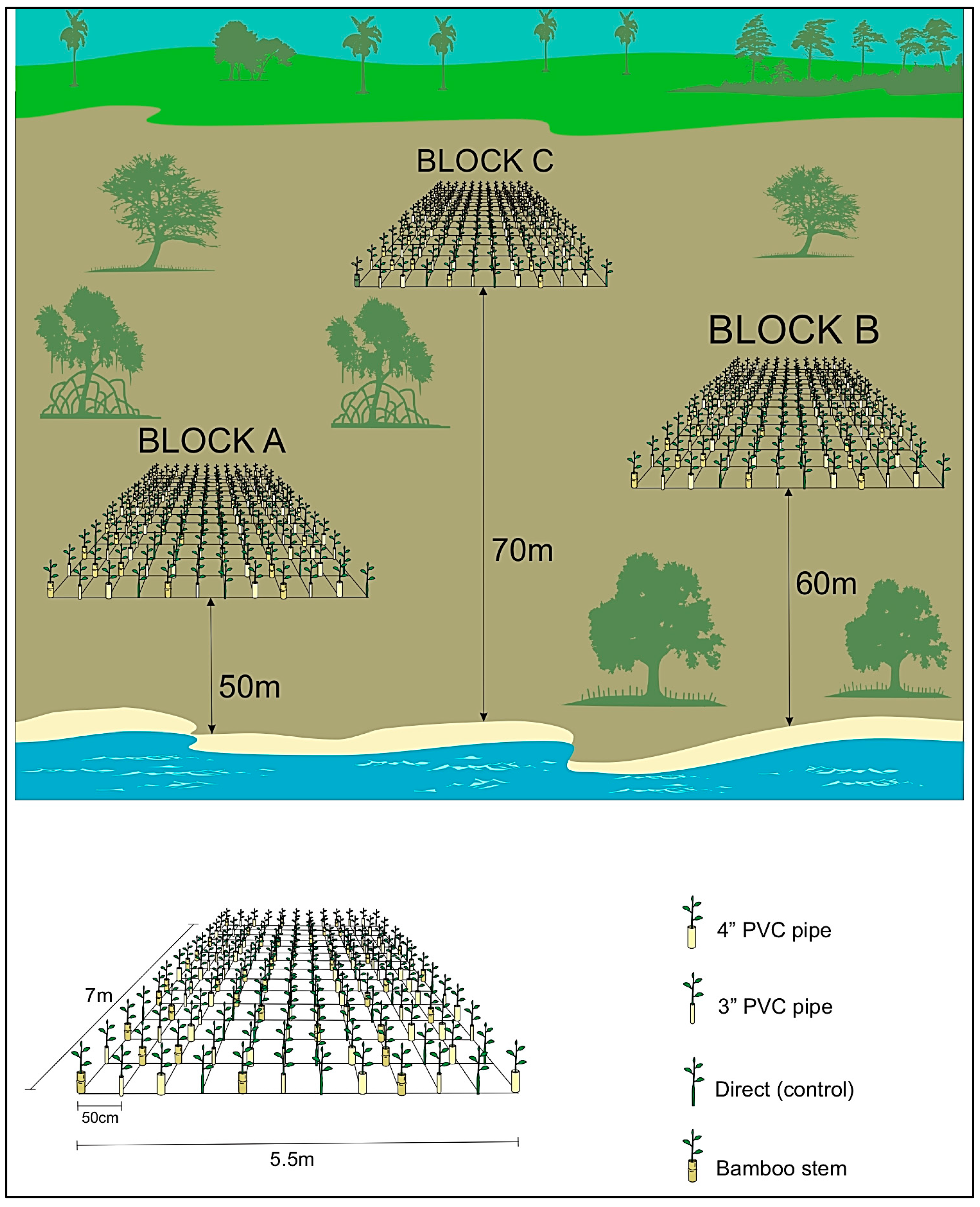 Diversity 16 00135 g002