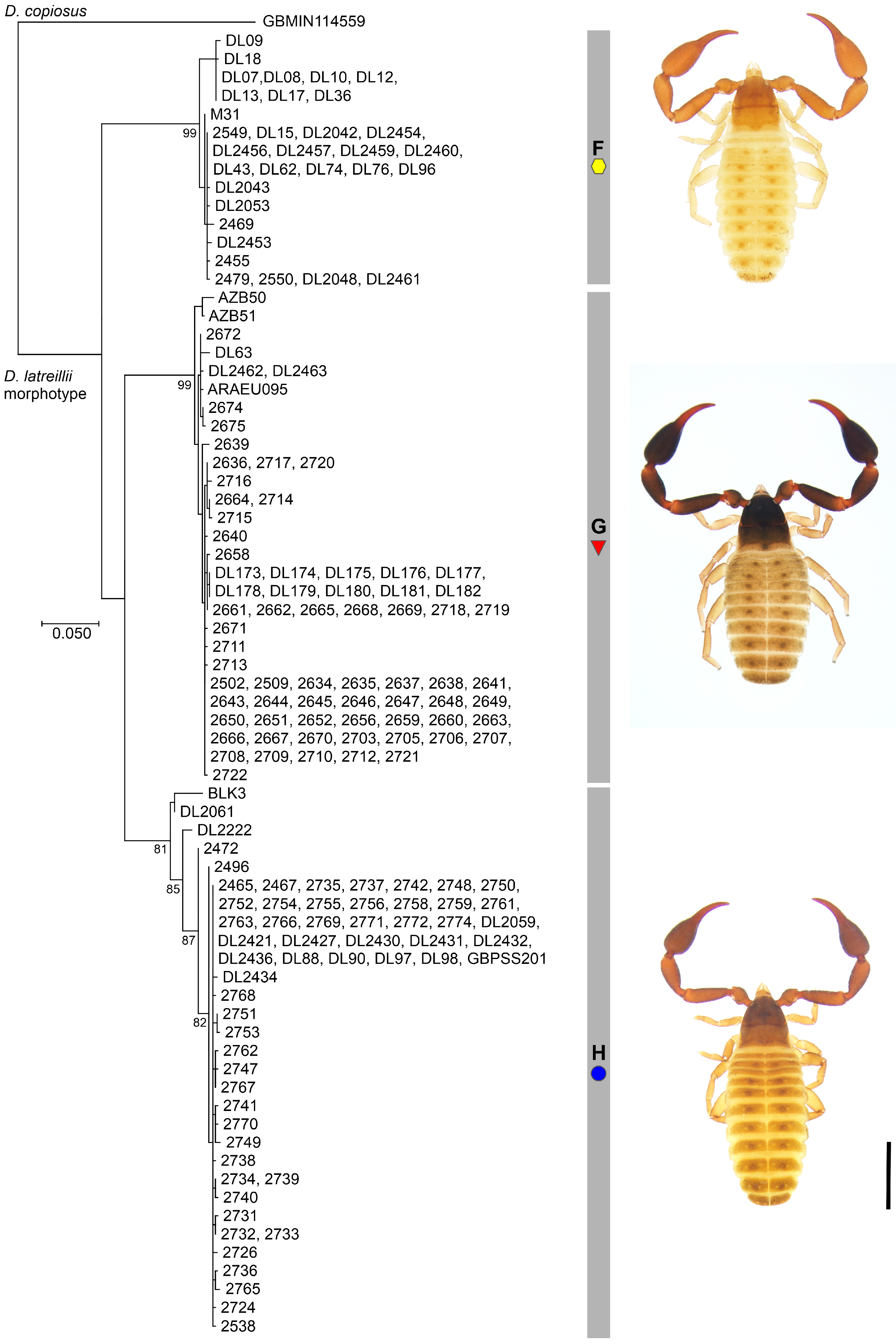 Diversity 16 00137 g003