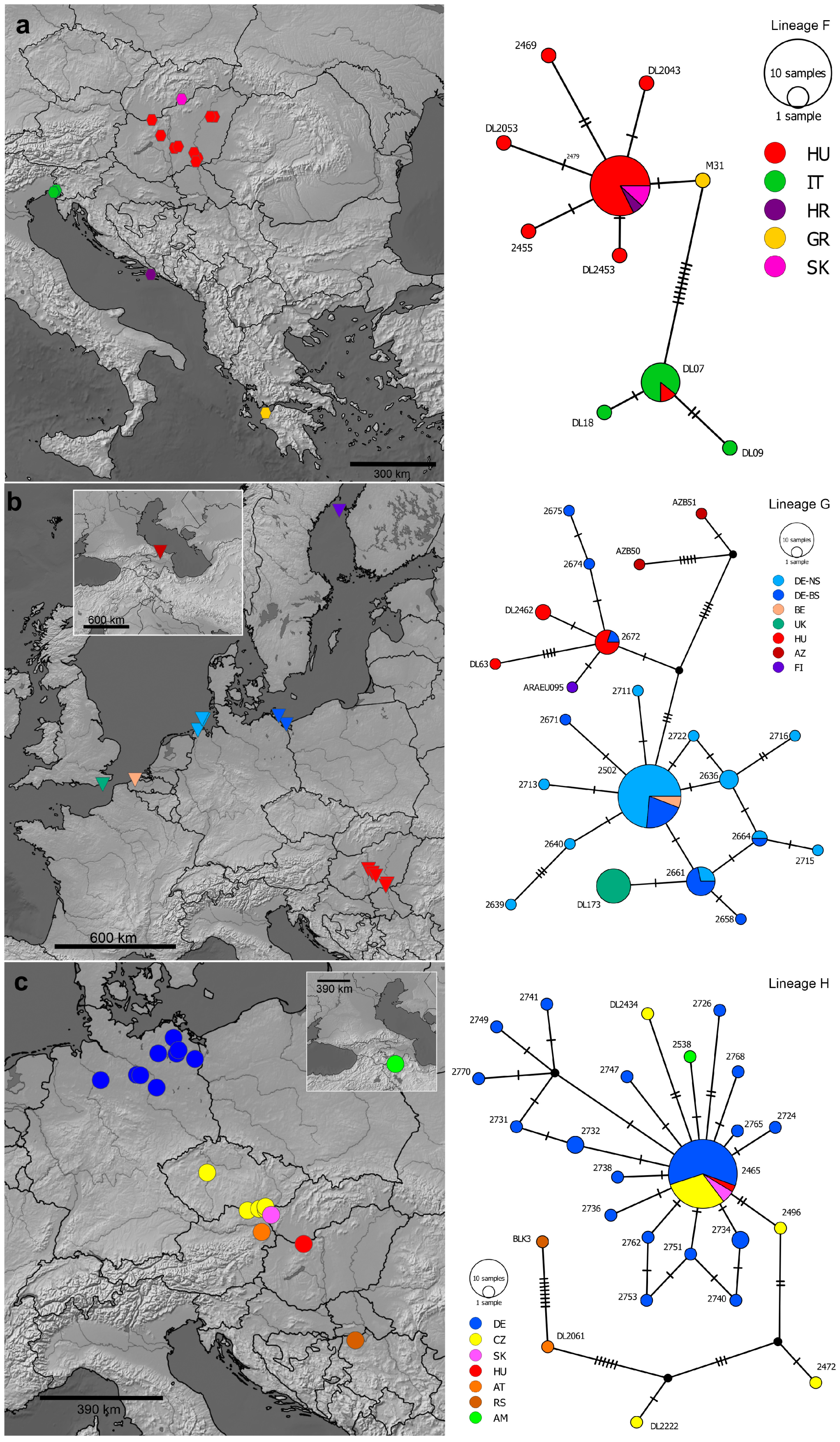 Diversity 16 00137 g004