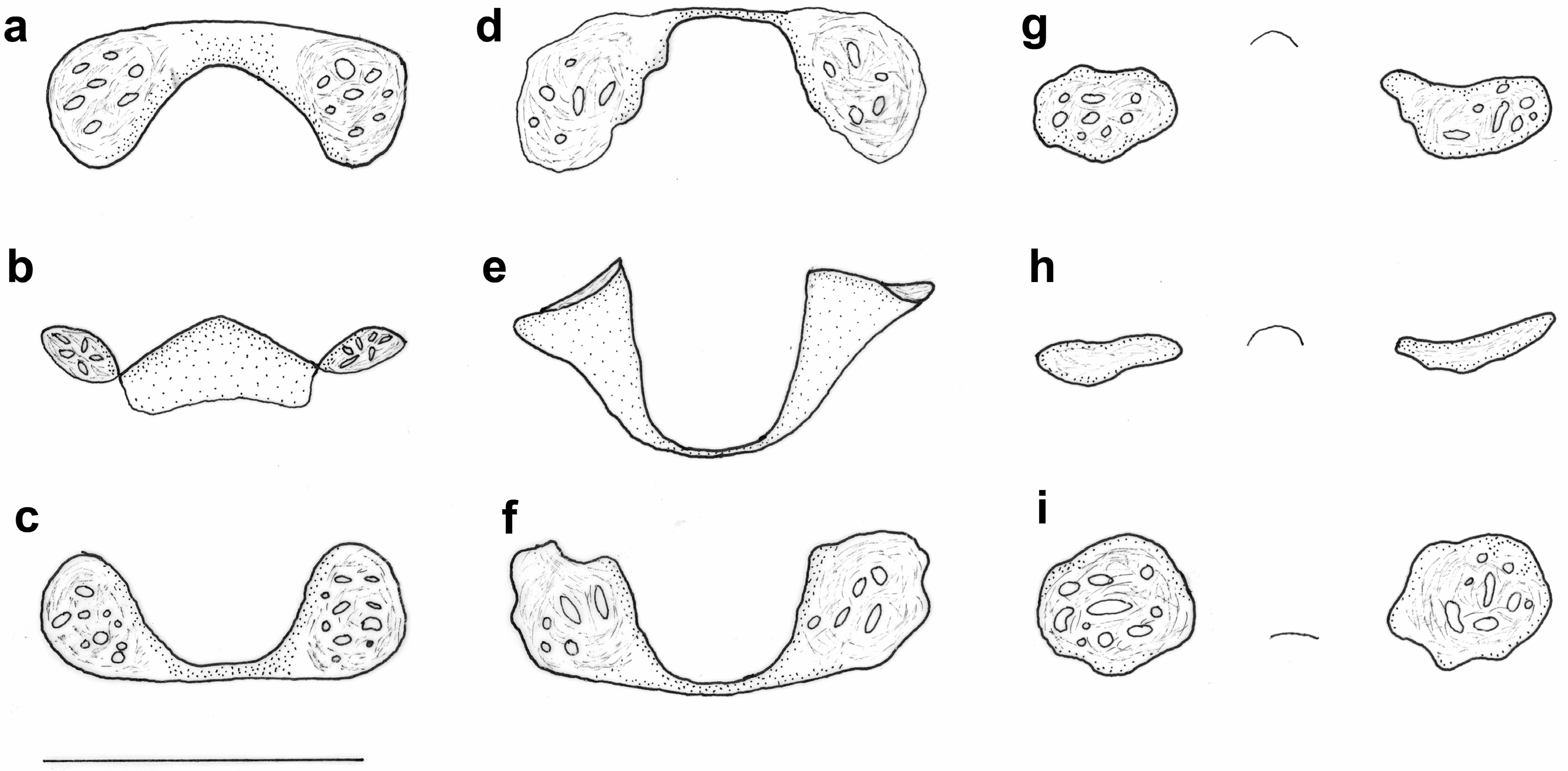 Diversity 16 00137 g009