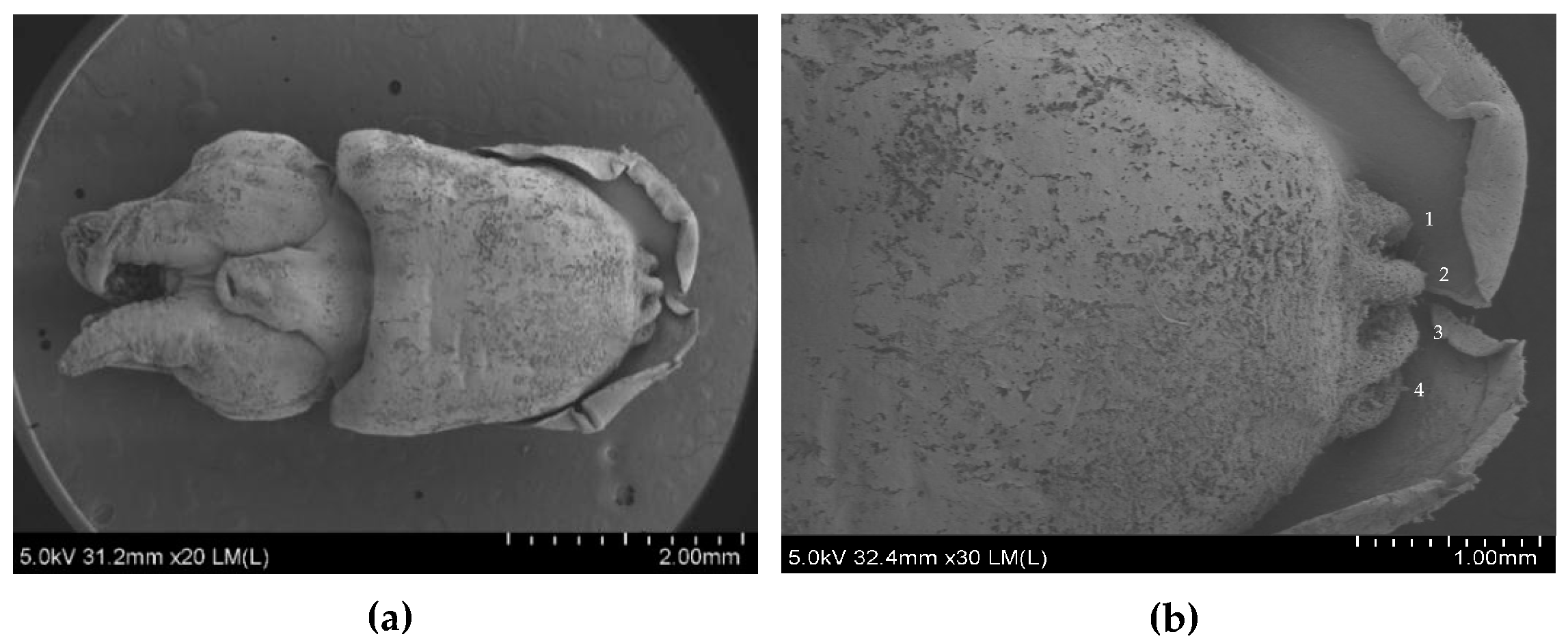 Diversity 16 00138 g007