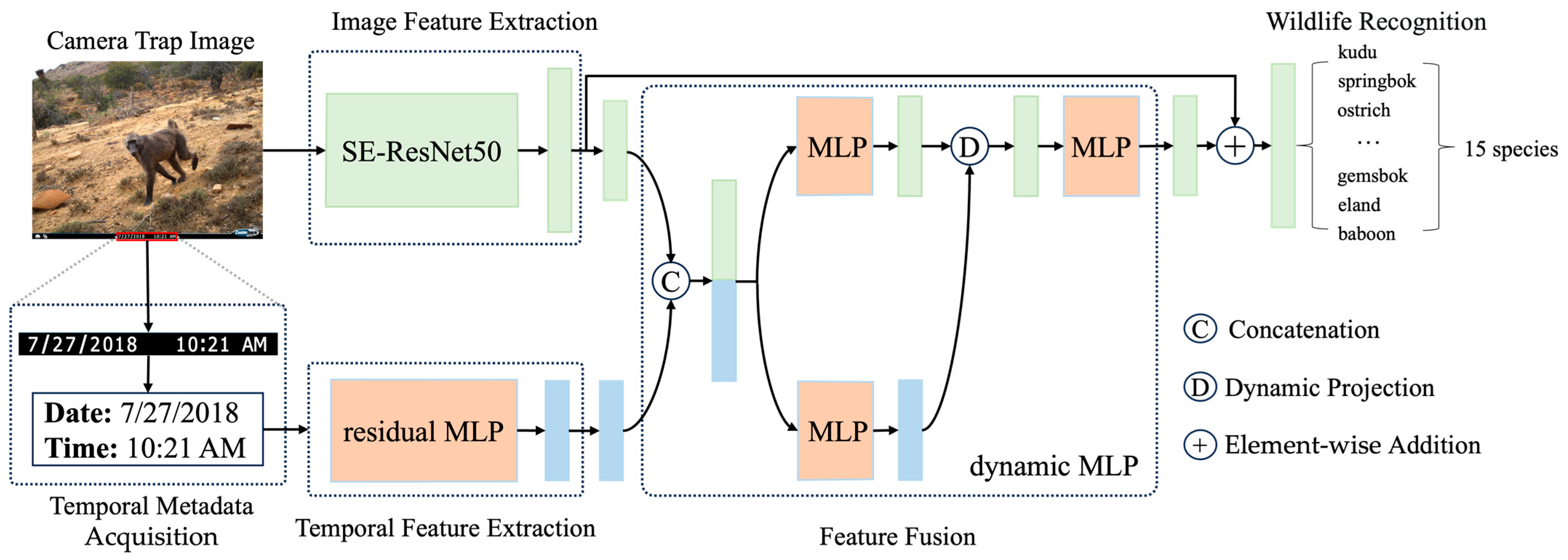 Diversity 16 00139 g002