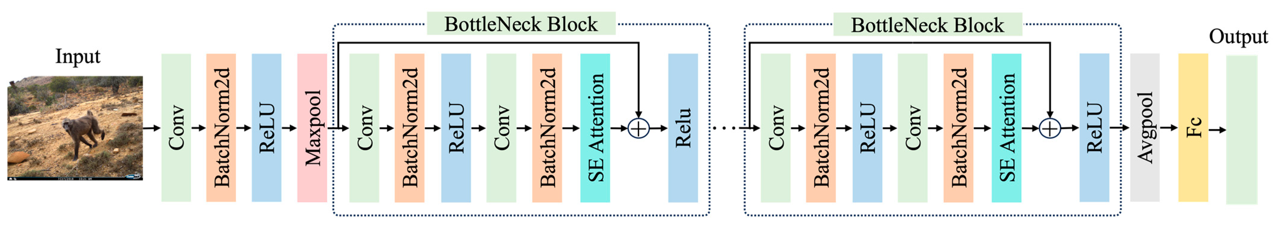 Diversity 16 00139 g003