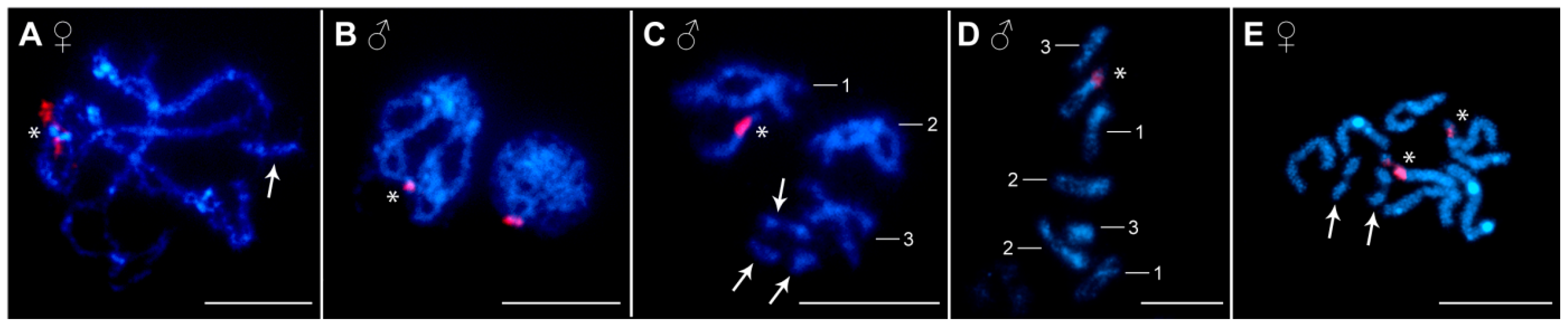 Diversity 16 00140 g002