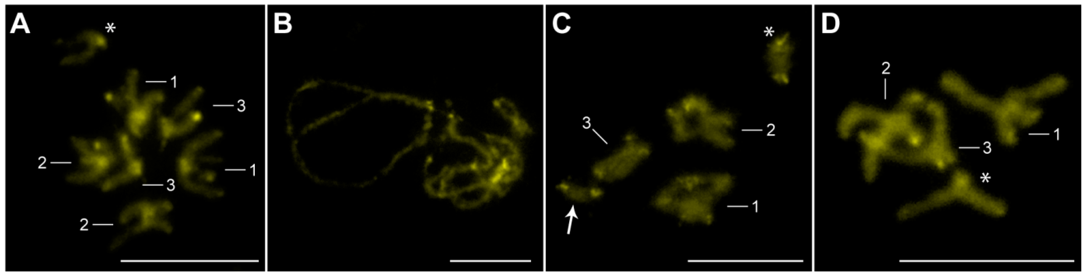 Diversity 16 00140 g004