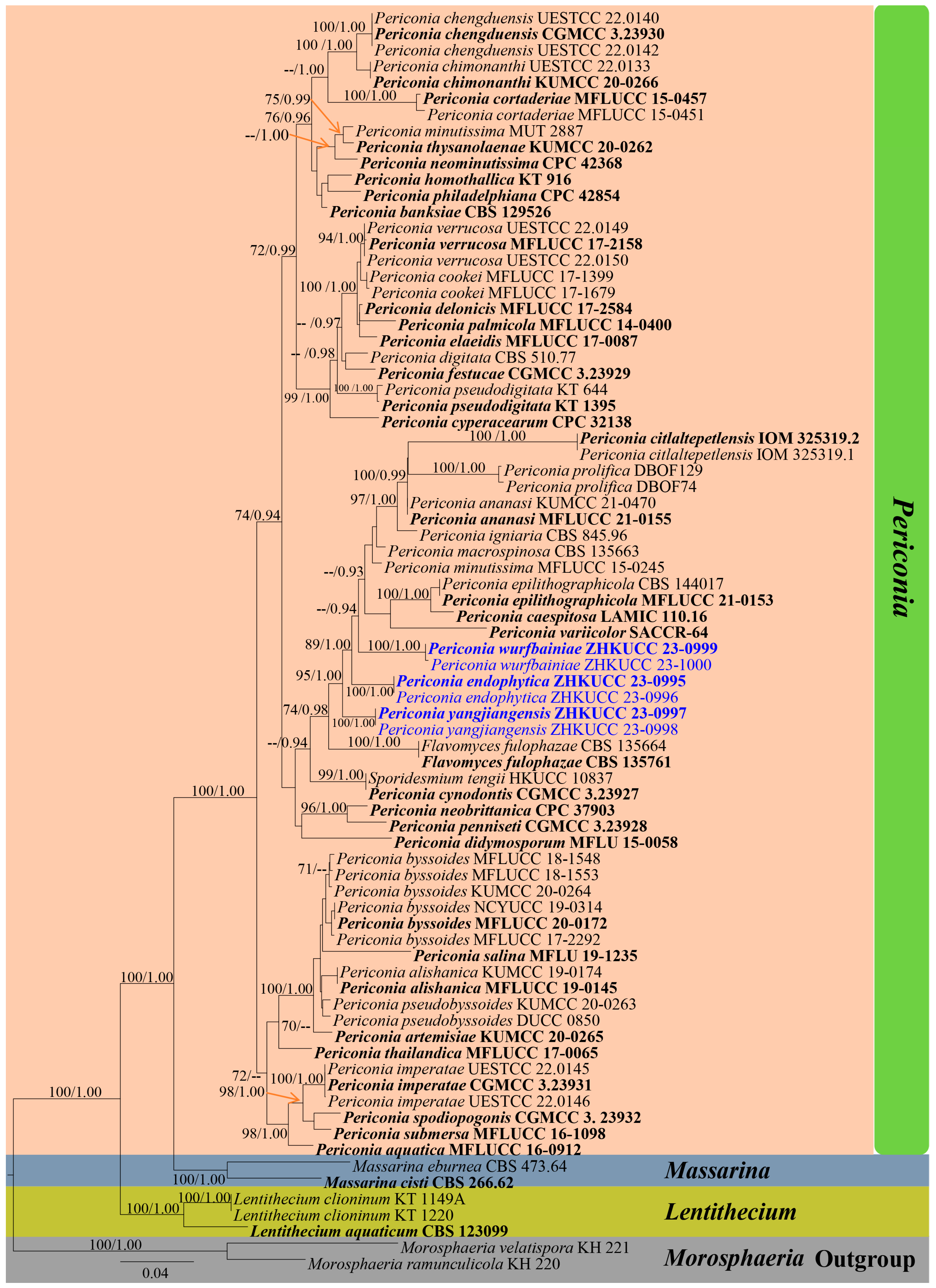 Diversity 16 00141 g001