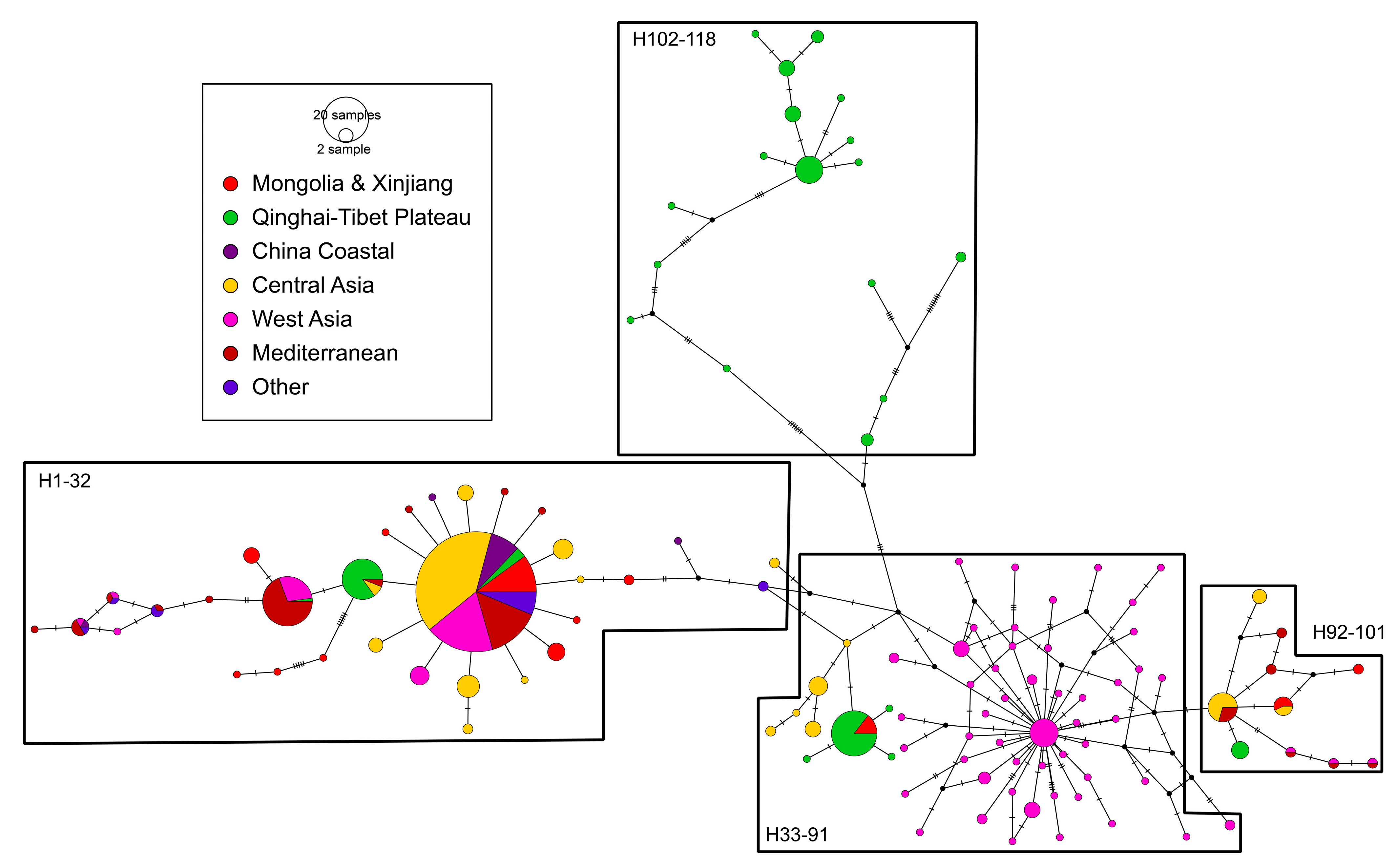Diversity 16 00144 g009