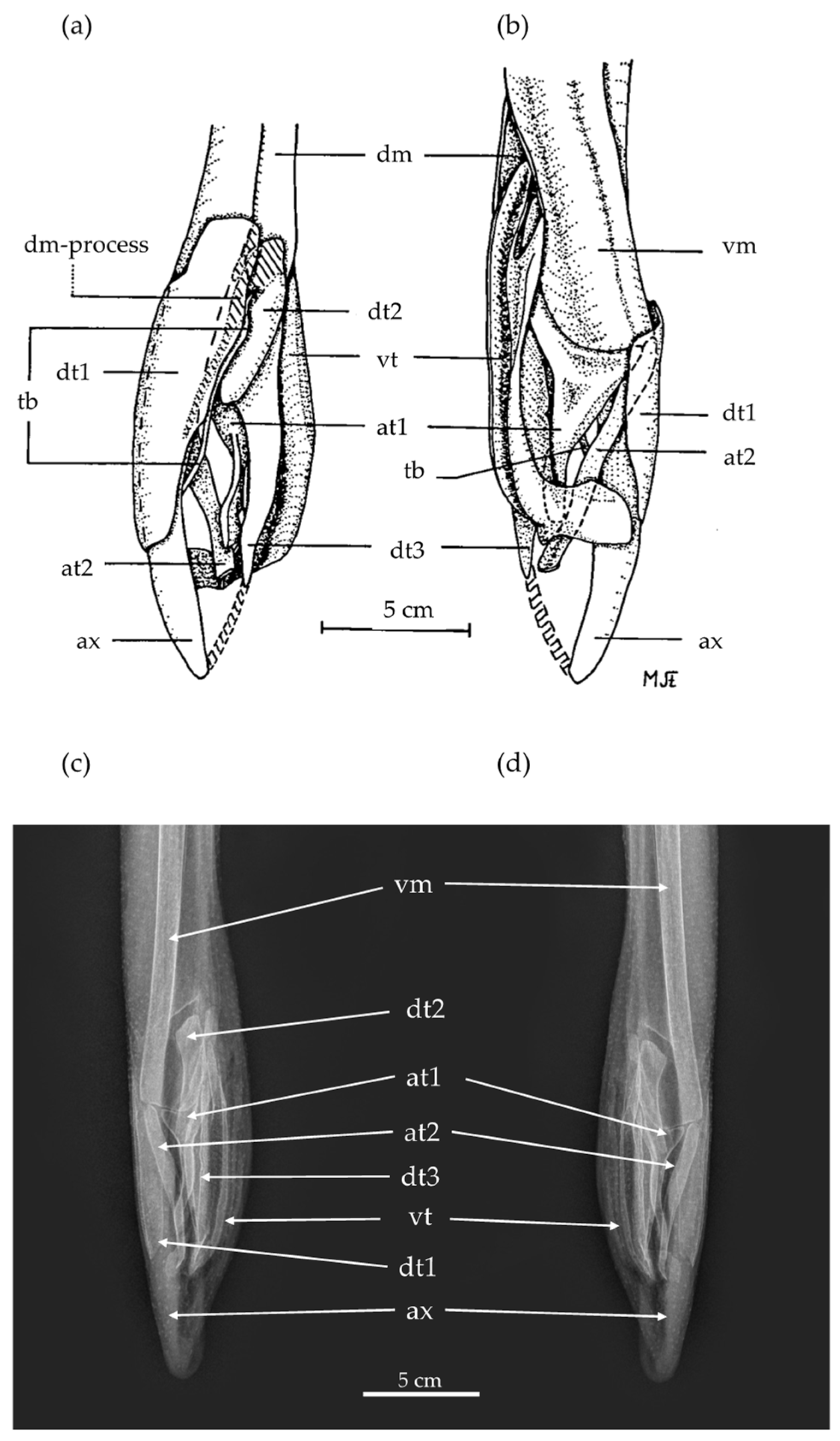 Diversity 16 00146 g003