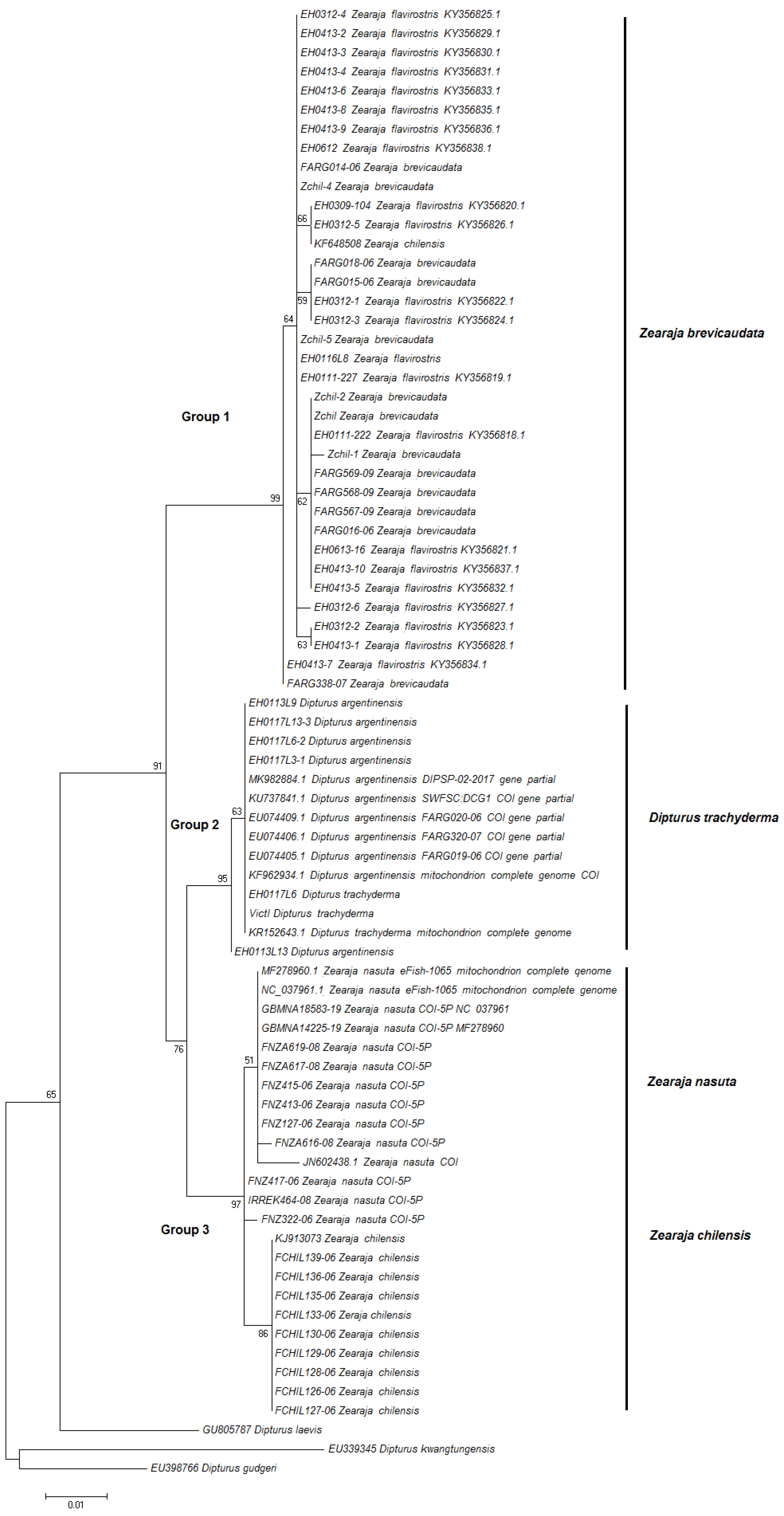 Diversity 16 00146 g005